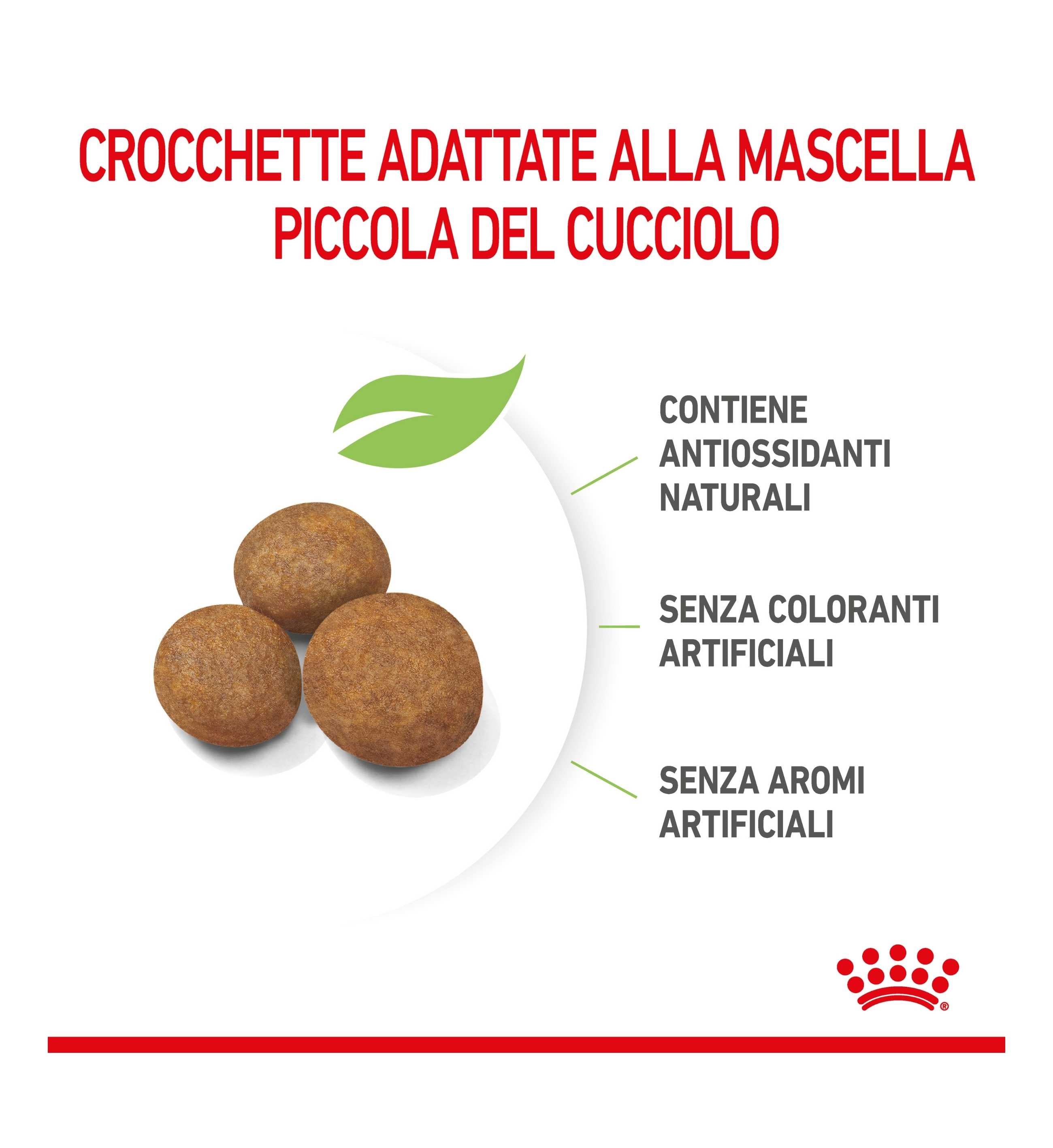 TODISCGIANTP_11_Image.erp.items.images.1383_11.jpg TODISCGIANTP picture