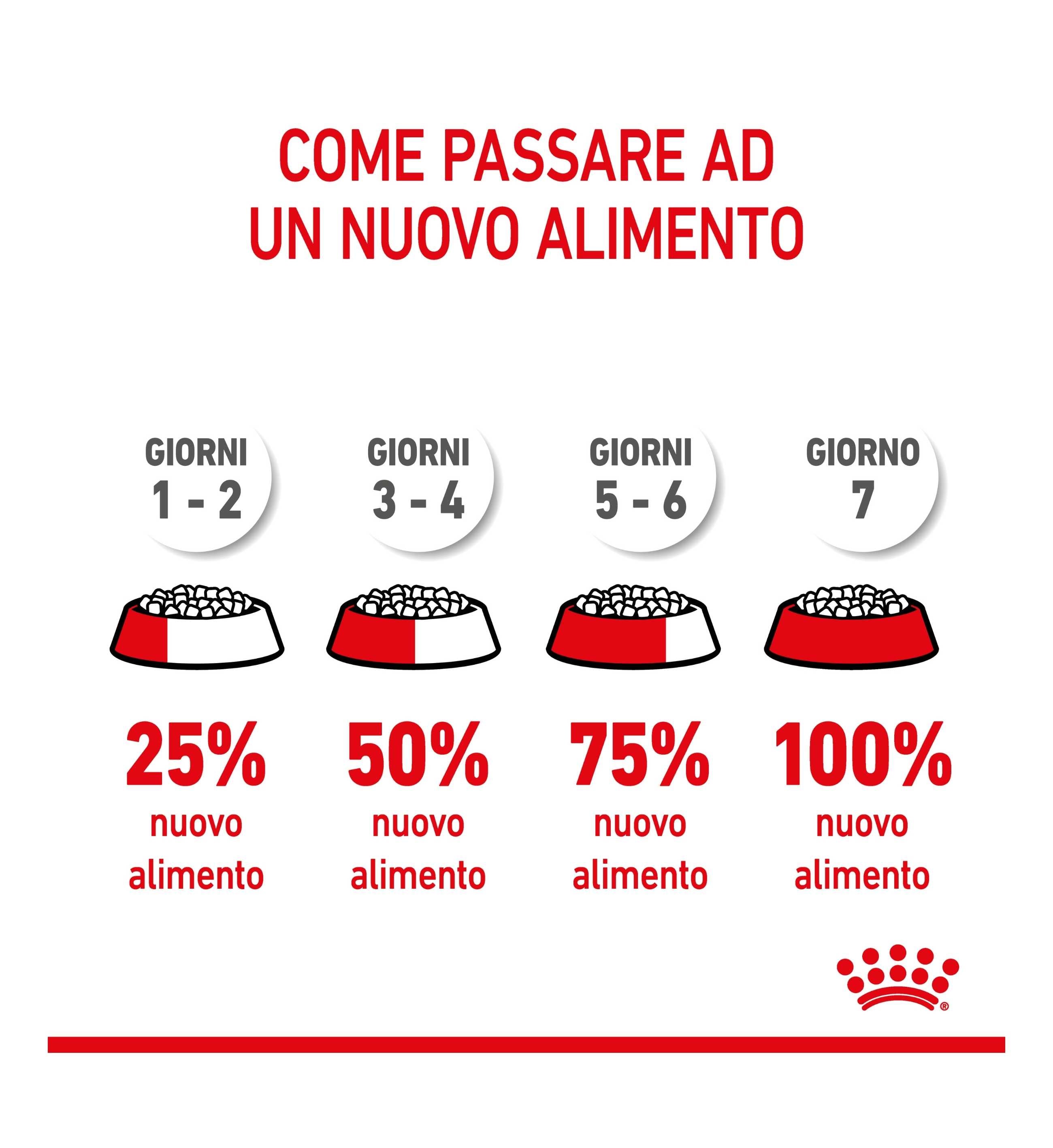 TODISCGIANTP_35_Image.erp.items.images.1383_35.jpg TODISCGIANTP picture