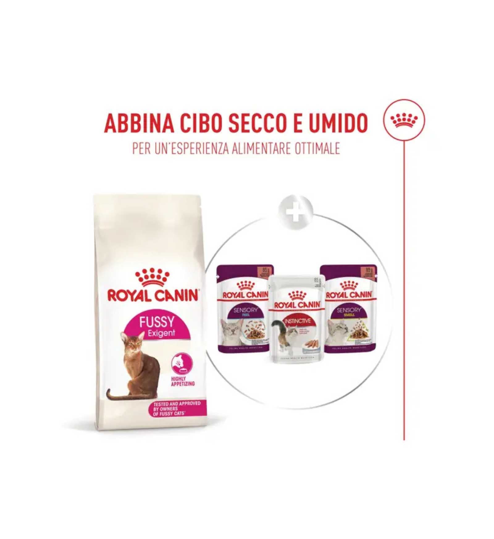 TODISCR475625_10__Server-Mago_Mago4_Custom_Companies_ZOOEXPERT_SRL_Applications_ERP_Items_Files_Images_AllUsers_R475625_39.jpg TODISCR475625 picture