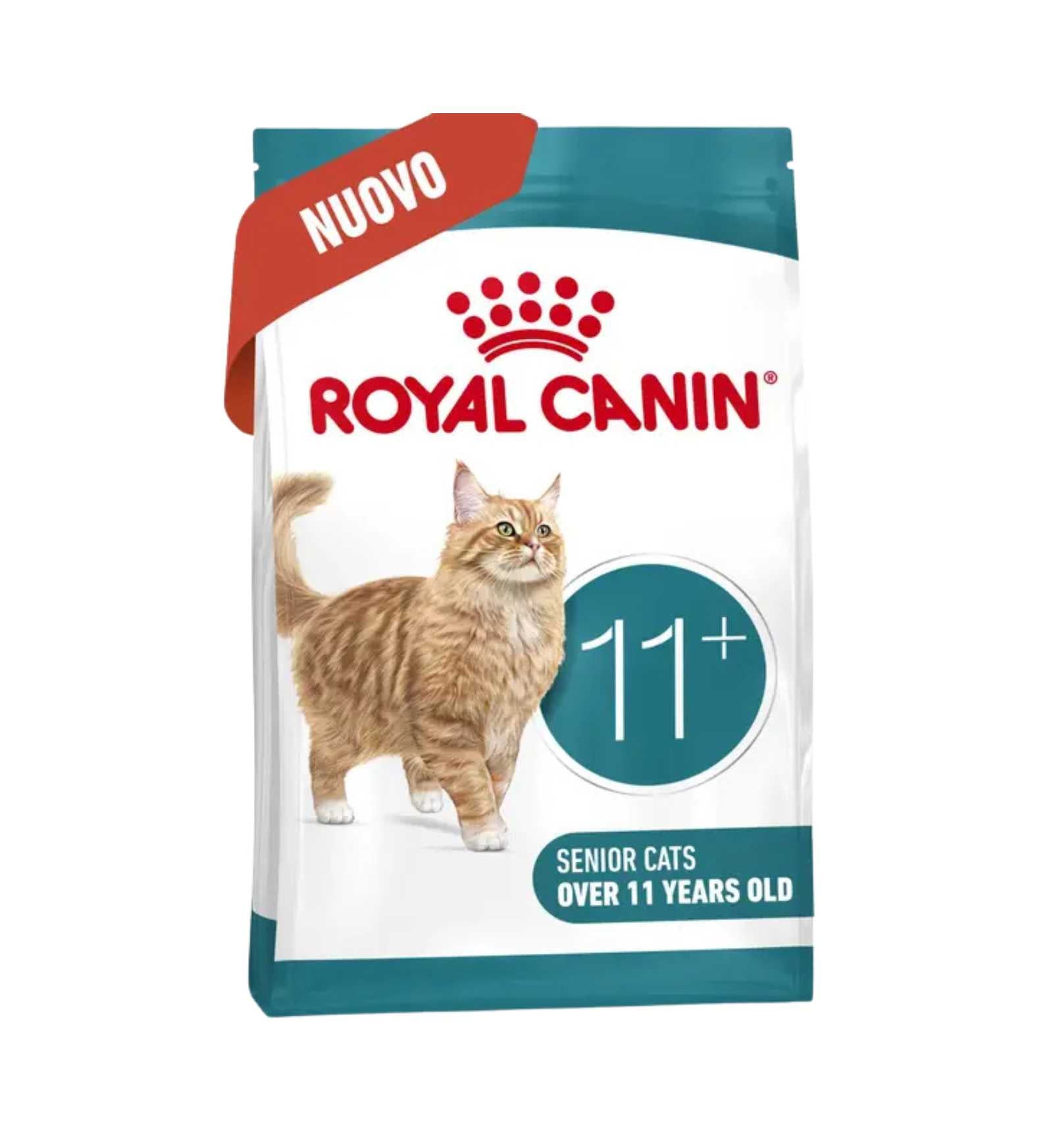 TODISCR475954_2__Server-Mago_Mago4_Custom_Companies_ZOOEXPERT_SRL_Applications_ERP_Items_Files_Images_AllUsers_R475954_04.jpg TODISCR475954 picture