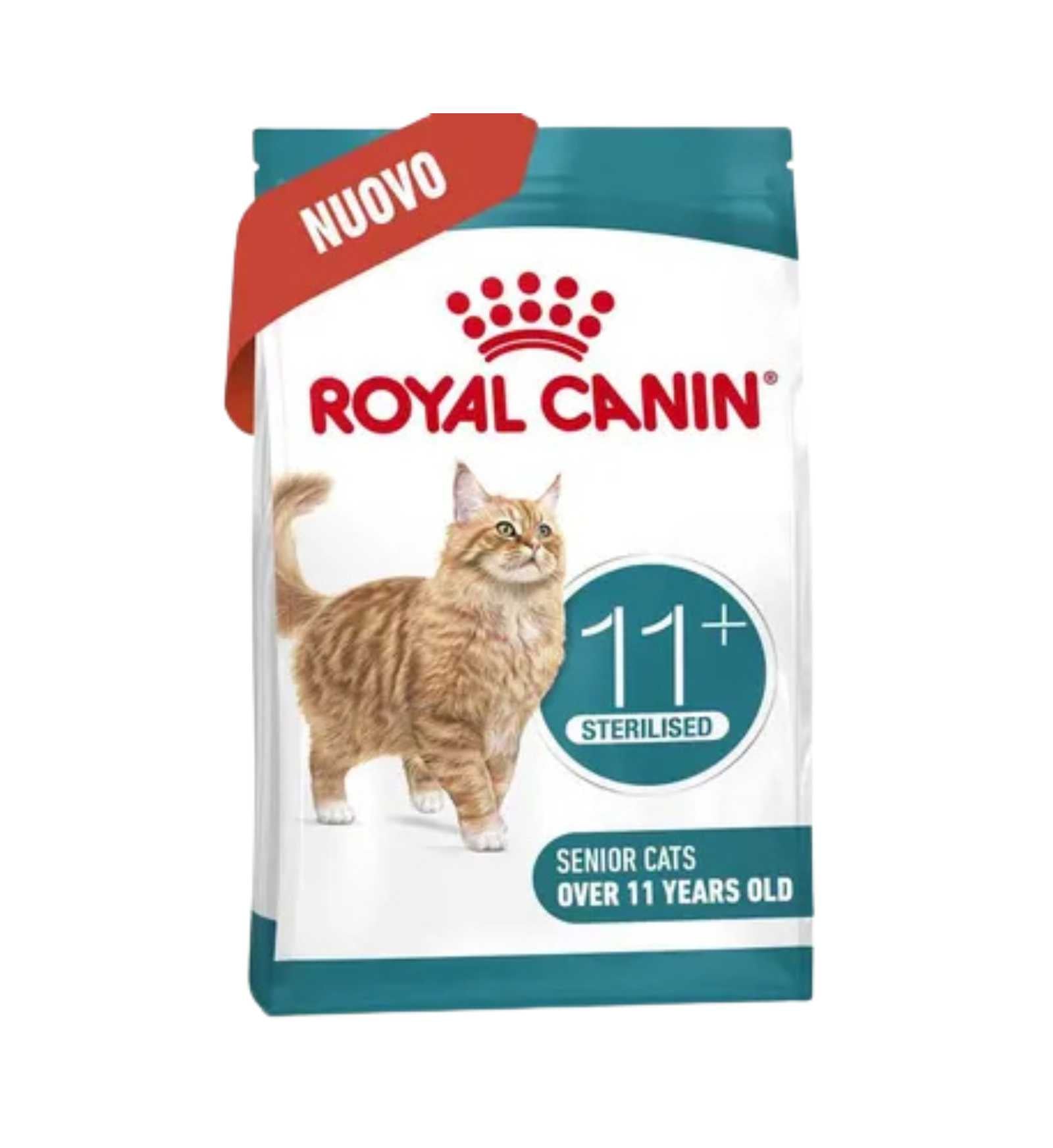 TODISCR475957_2__Server-Mago_Mago4_Custom_Companies_ZOOEXPERT_SRL_Applications_ERP_Items_Files_Images_AllUsers_R475957_04.jpg TODISCR475957 picture