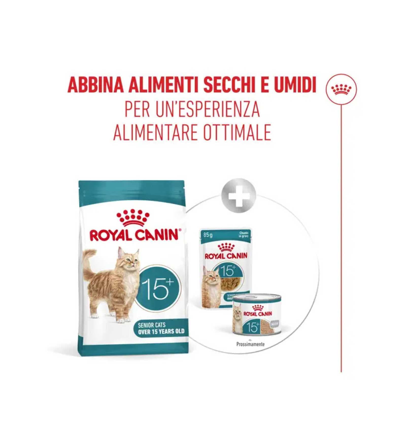 TODISCR475959_10__Server-Mago_Mago4_Custom_Companies_ZOOEXPERT_SRL_Applications_ERP_Items_Files_Images_AllUsers_R475959_39.jpg TODISCR475959 picture