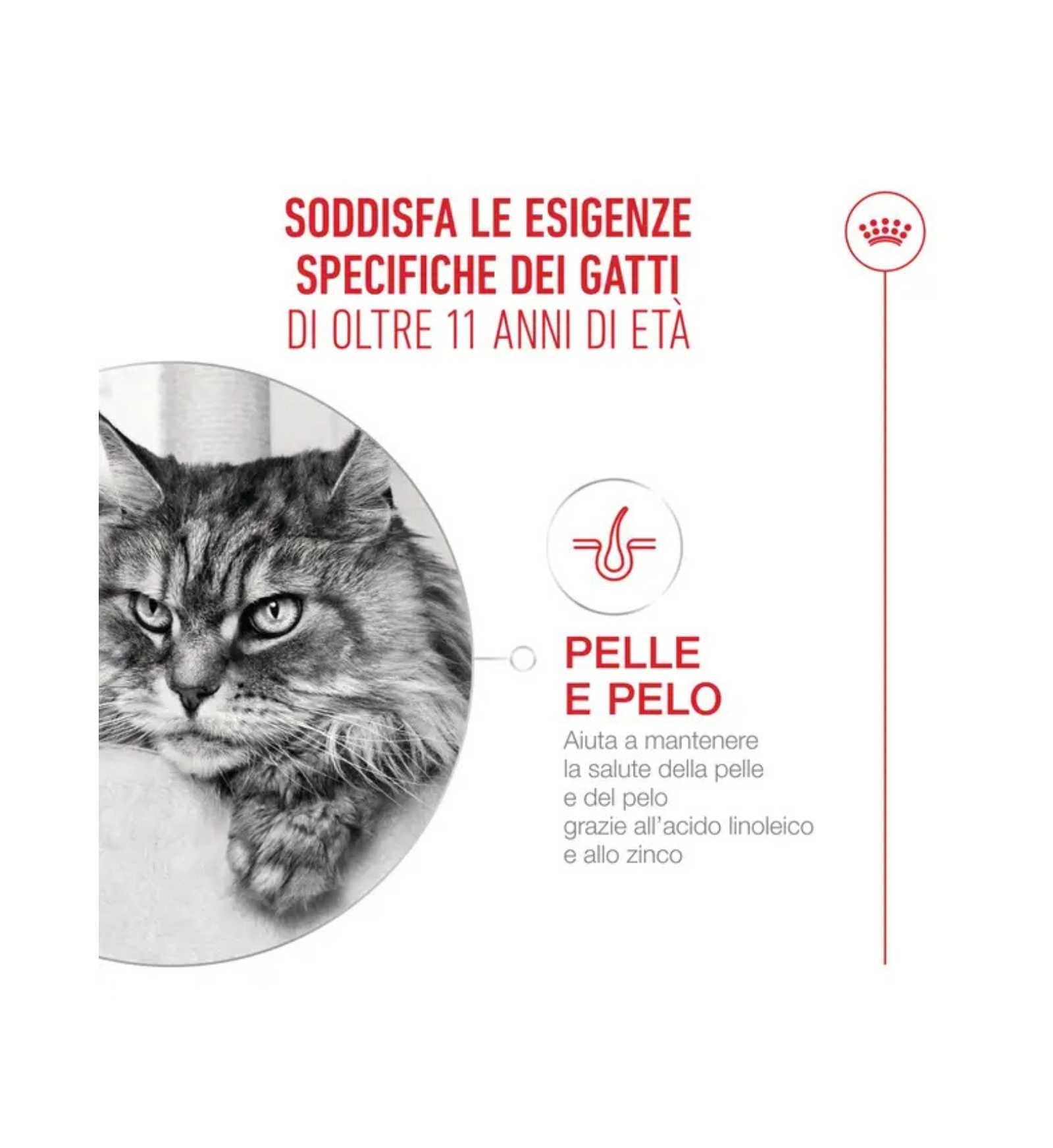 TODISCR475959_3__Server-Mago_Mago4_Custom_Companies_ZOOEXPERT_SRL_Applications_ERP_Items_Files_Images_AllUsers_R475959_05.jpg TODISCR475959 picture