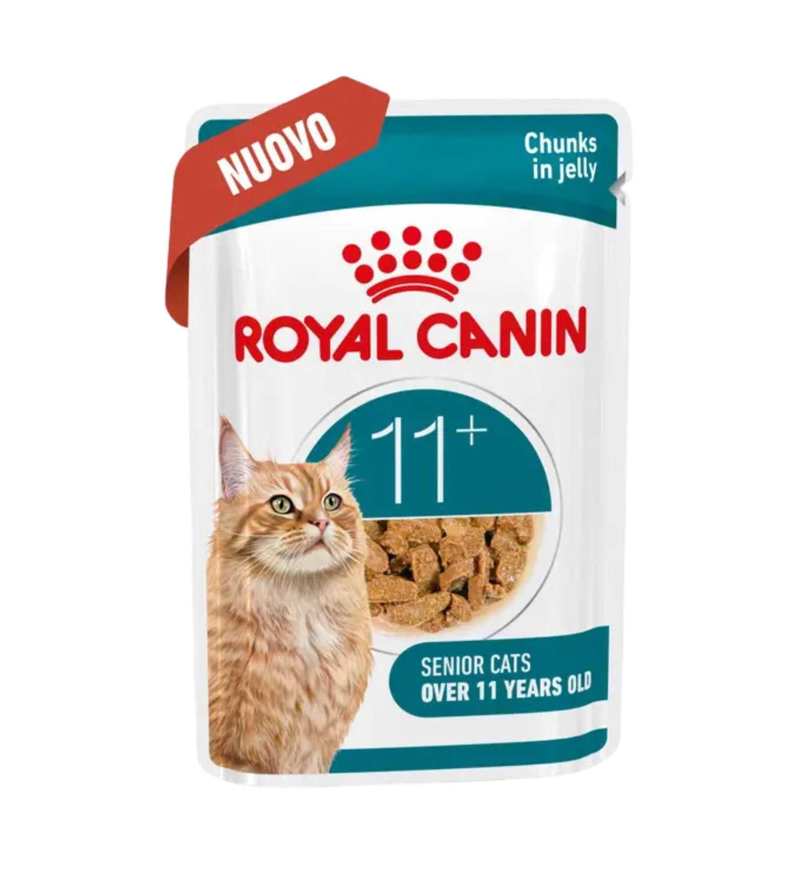 TODISCR601184_2__Server-Mago_Mago4_Custom_Companies_ZOOEXPERT_SRL_Applications_ERP_Items_Files_Images_AllUsers_R601184_04.jpg TODISCR601184 picture