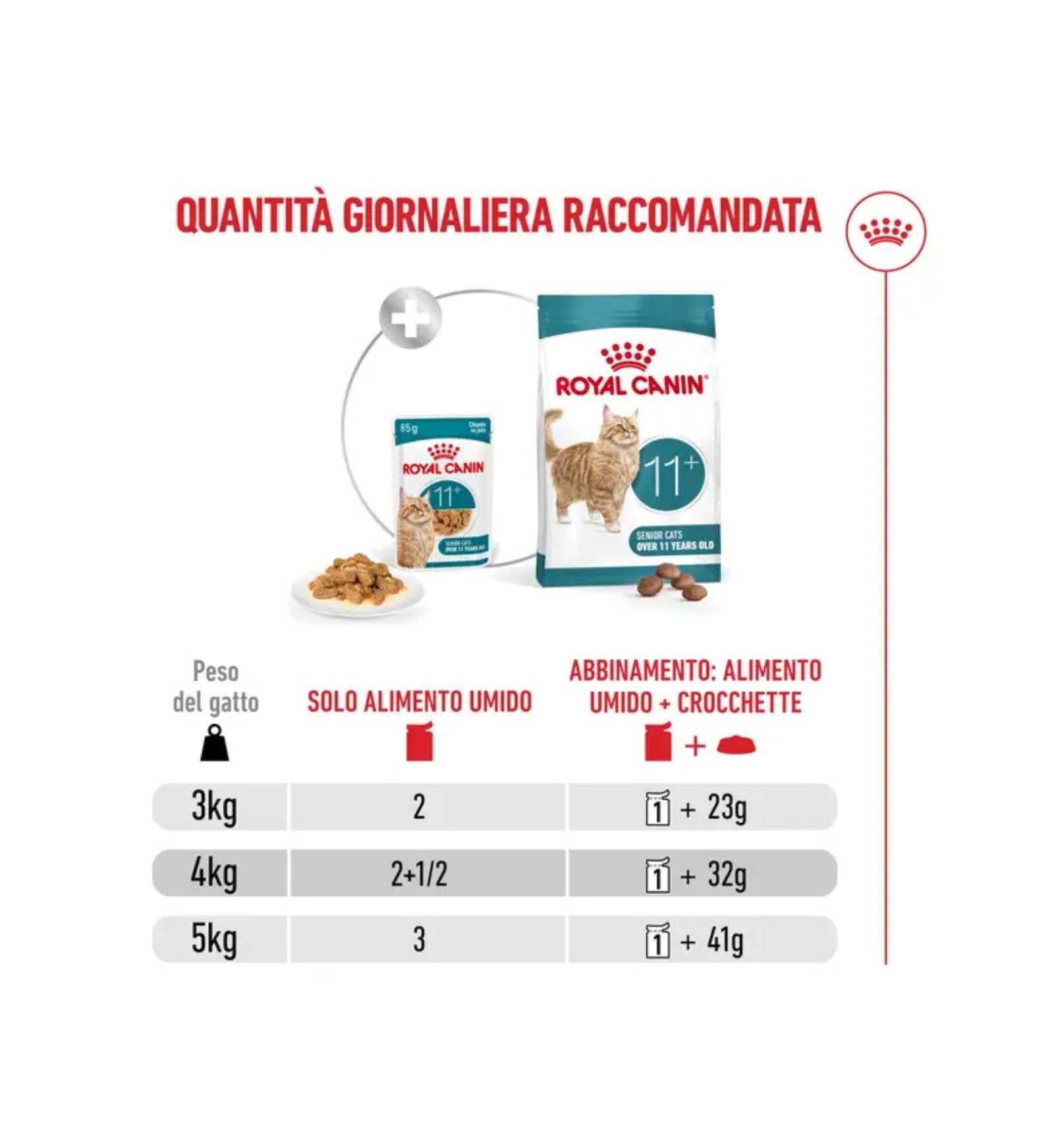 TODISCR601184_6__Server-Mago_Mago4_Custom_Companies_ZOOEXPERT_SRL_Applications_ERP_Items_Files_Images_AllUsers_R601184_30.jpg TODISCR601184 picture