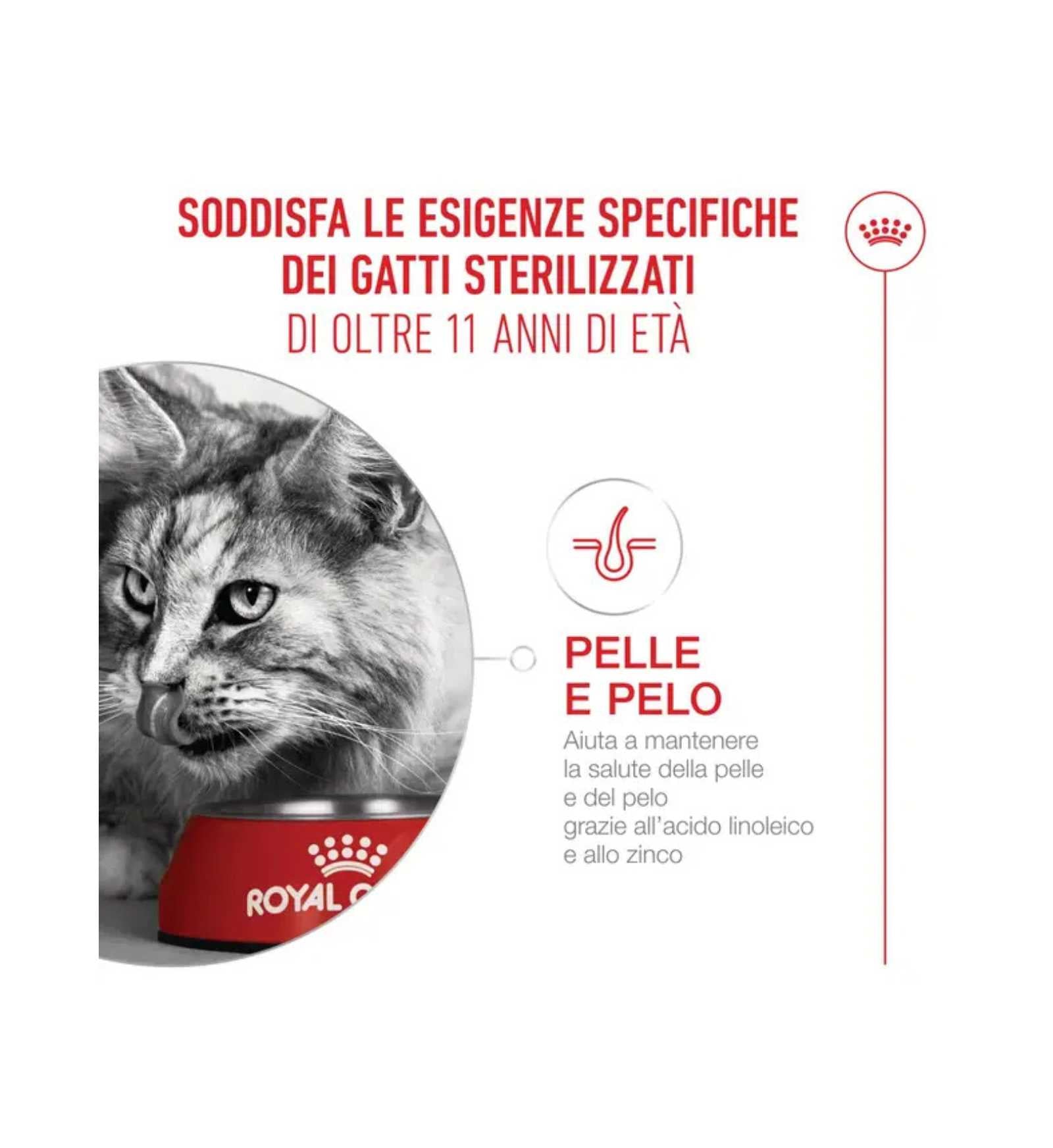 TODISCR601188_3__Server-Mago_Mago4_Custom_Companies_ZOOEXPERT_SRL_Applications_ERP_Items_Files_Images_AllUsers_R601188_05.jpg TODISCR601188 picture