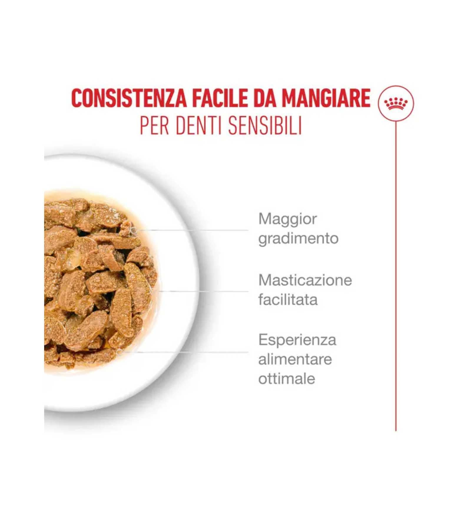 TODISCR601188_5__Server-Mago_Mago4_Custom_Companies_ZOOEXPERT_SRL_Applications_ERP_Items_Files_Images_AllUsers_R601188_14.jpg TODISCR601188 picture