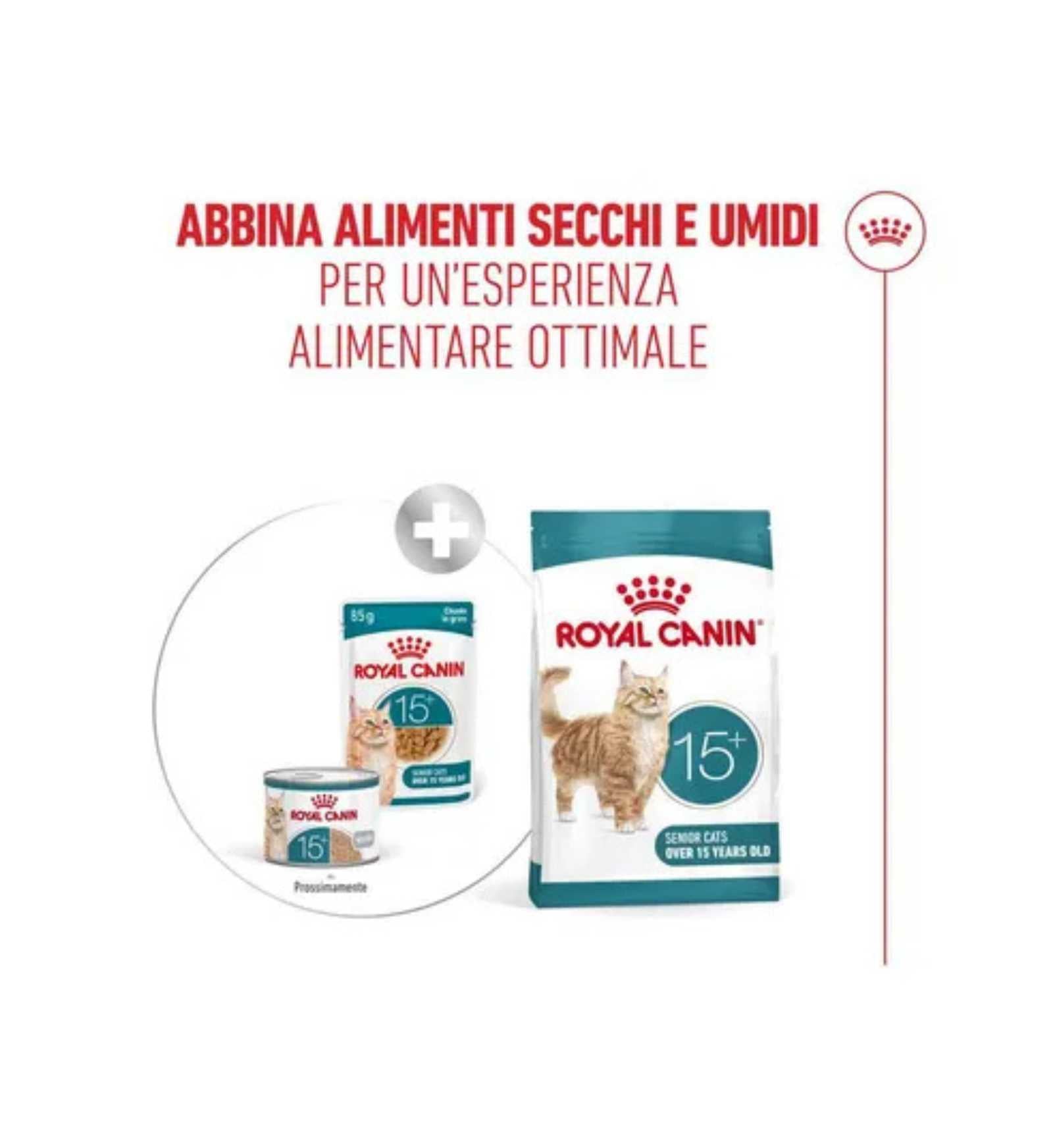 TODISCR601205_7__Server-Mago_Mago4_Custom_Companies_ZOOEXPERT_SRL_Applications_ERP_Items_Files_Images_AllUsers_R601205_39.jpg TODISCR601205 picture