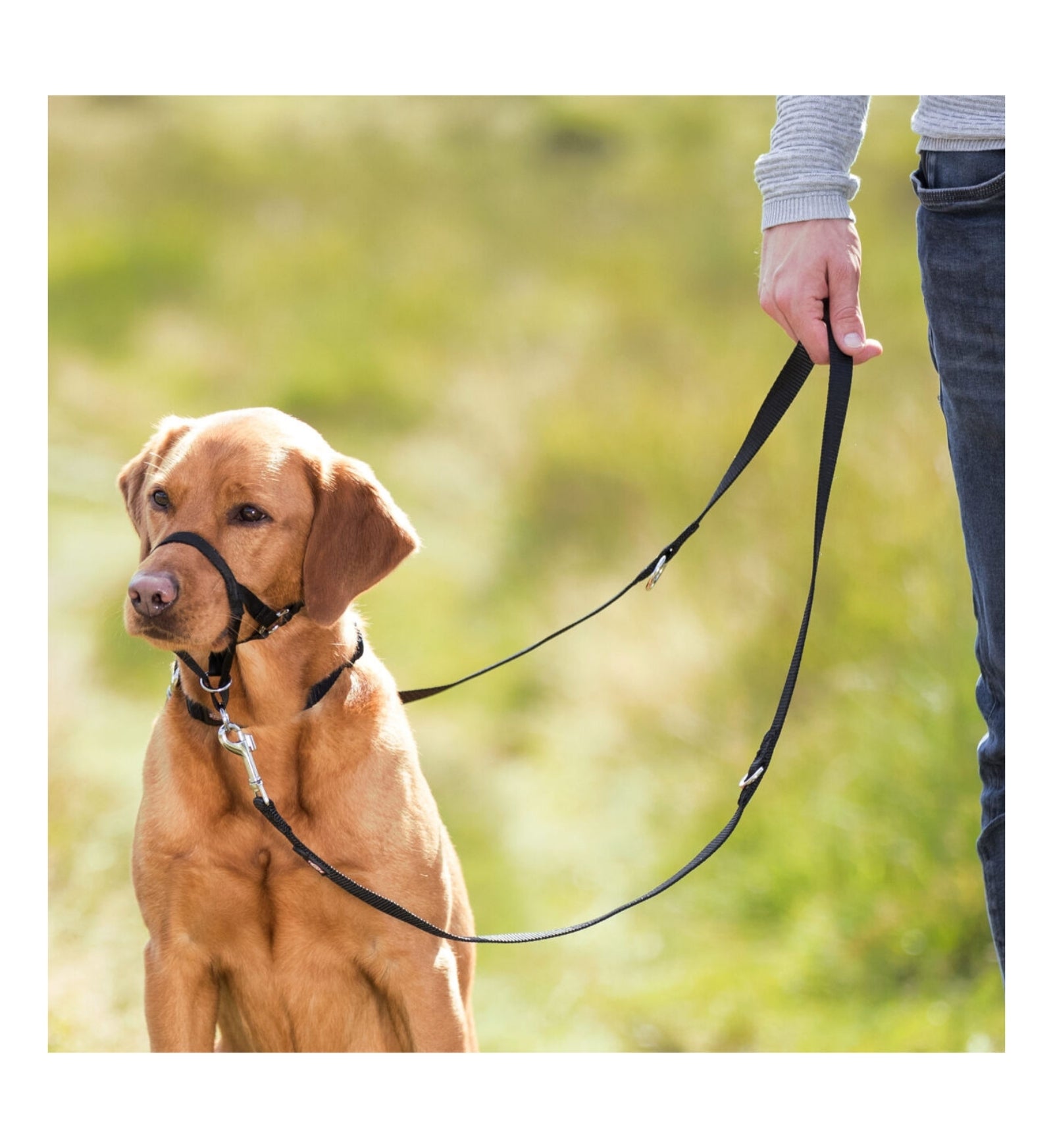 TRIXIETX13006_1_Image.erp.items.images.TX13006_01.jpg TRIXIETX13006 picture