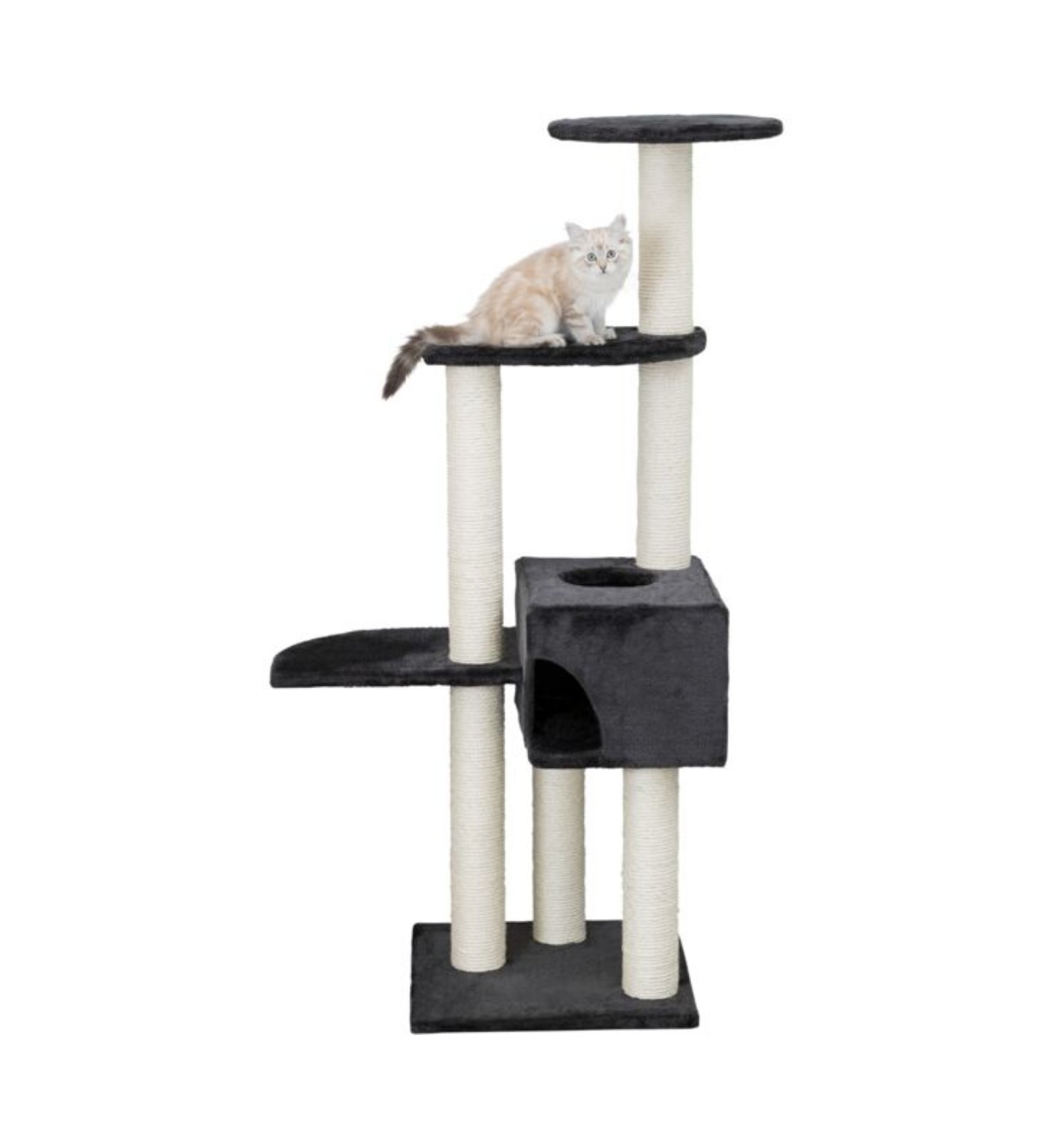 TRIXIETX43861_1_Image.erp.items.images.TX43867_01.jpg TRIXIETX43861 picture