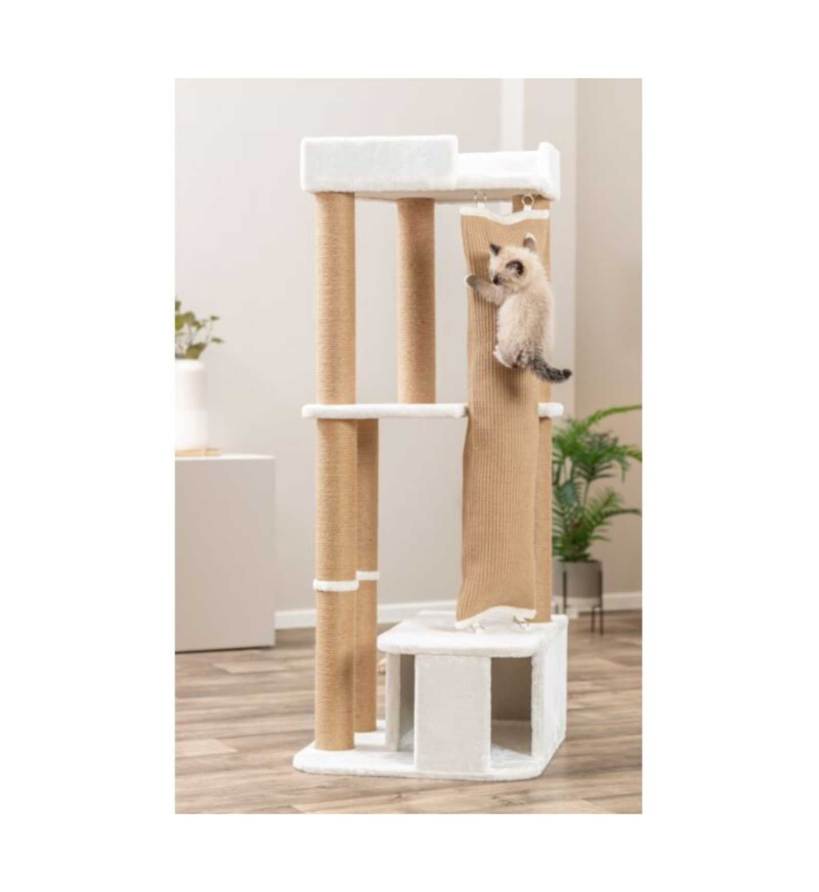 TRIXIETX48140_4__Server-Mago_Mago4_Custom_Companies_ZOOEXPERT_SRL_Applications_ERP_Items_Files_Images_AllUsers_TX48140_27.jpg TRIXIETX48140 picture