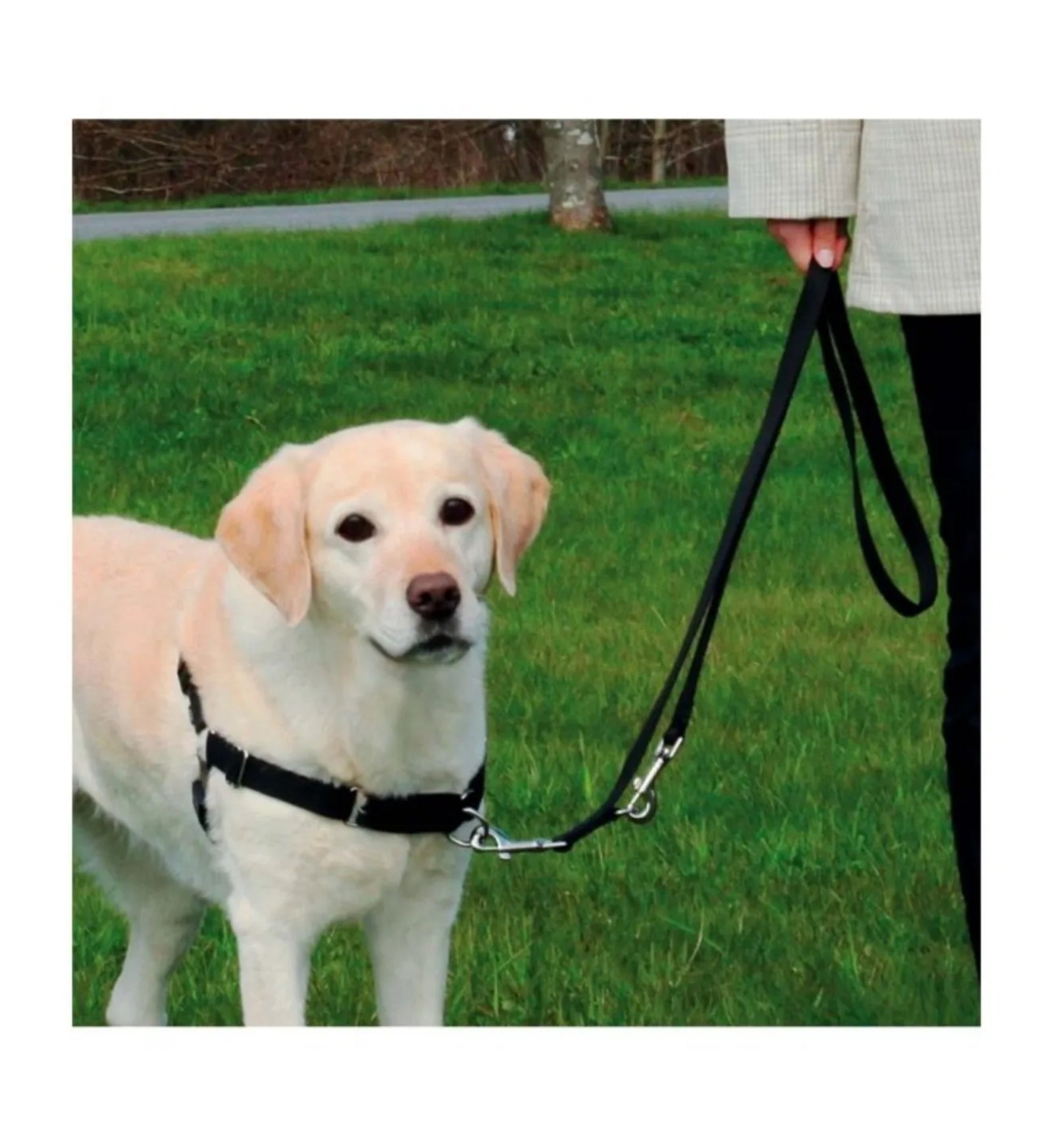 PETTORINA ADDESTRAMENTO EASY WALK PROFESSIONAL MISURA S-M