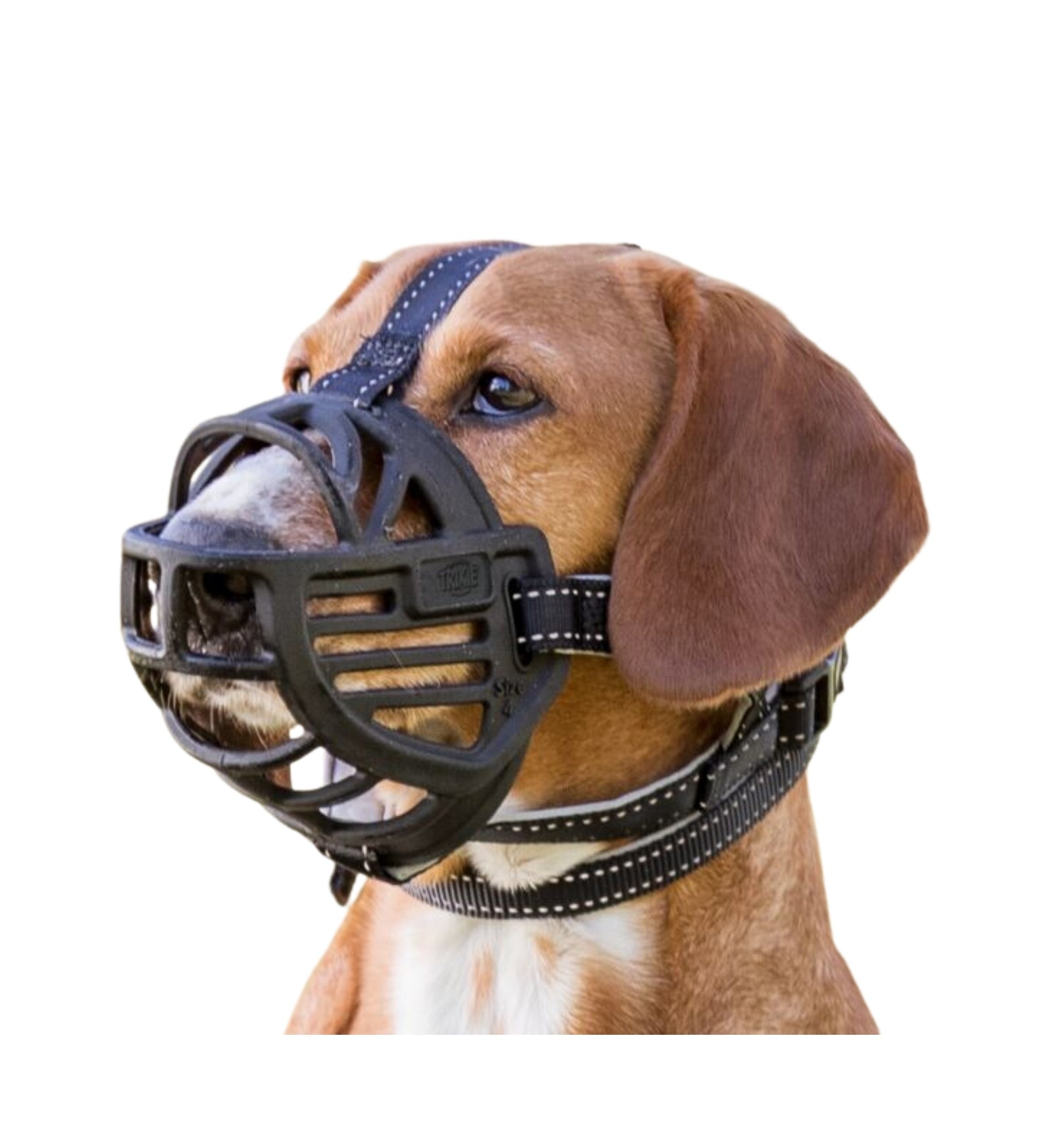 MORSO CANE PETTORINA AIR MESH FULL METAL DOG LARGE