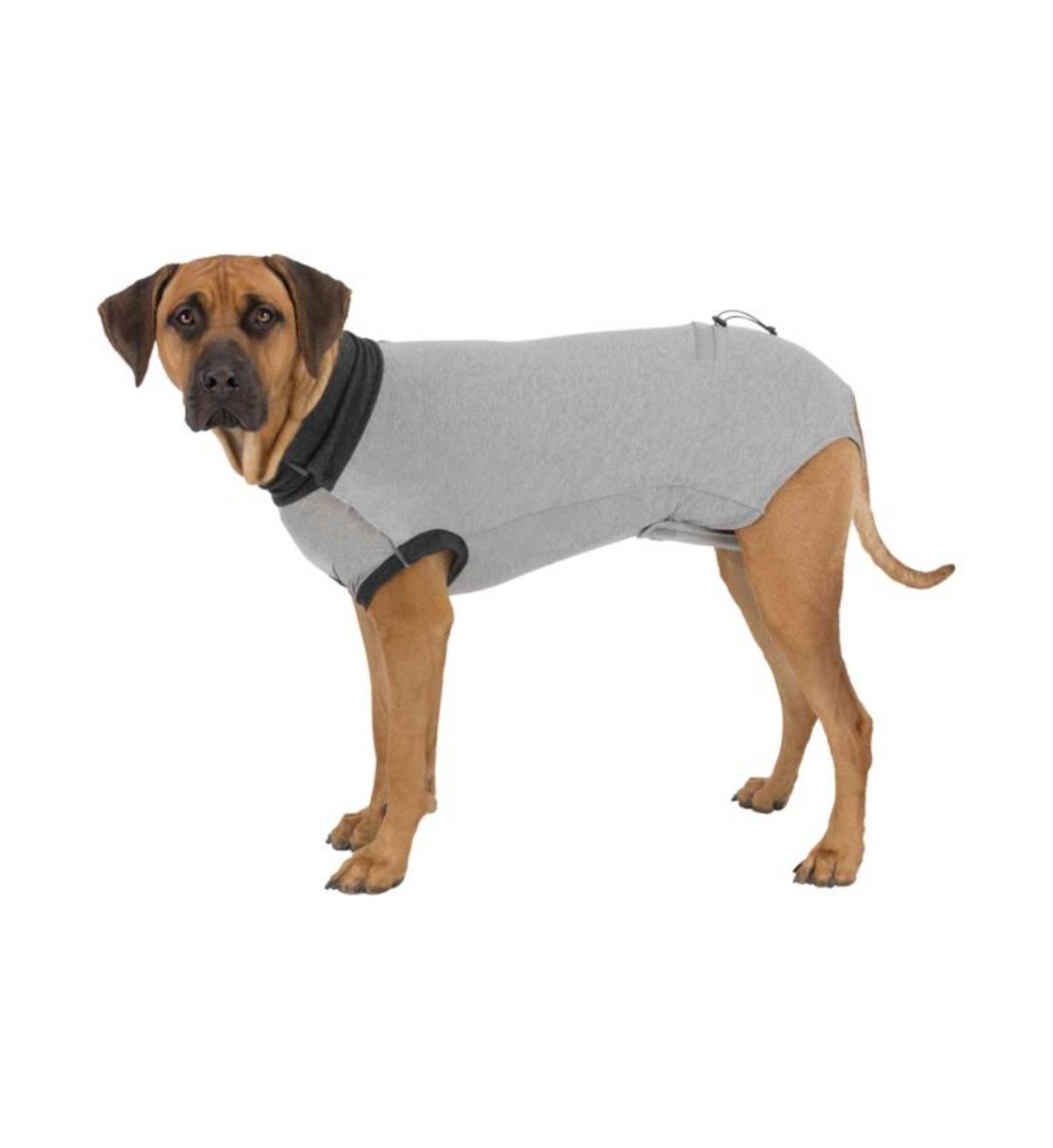 TRIXIE CANE BODY PROTETTIVO CANE L 55 CM GRIGIO