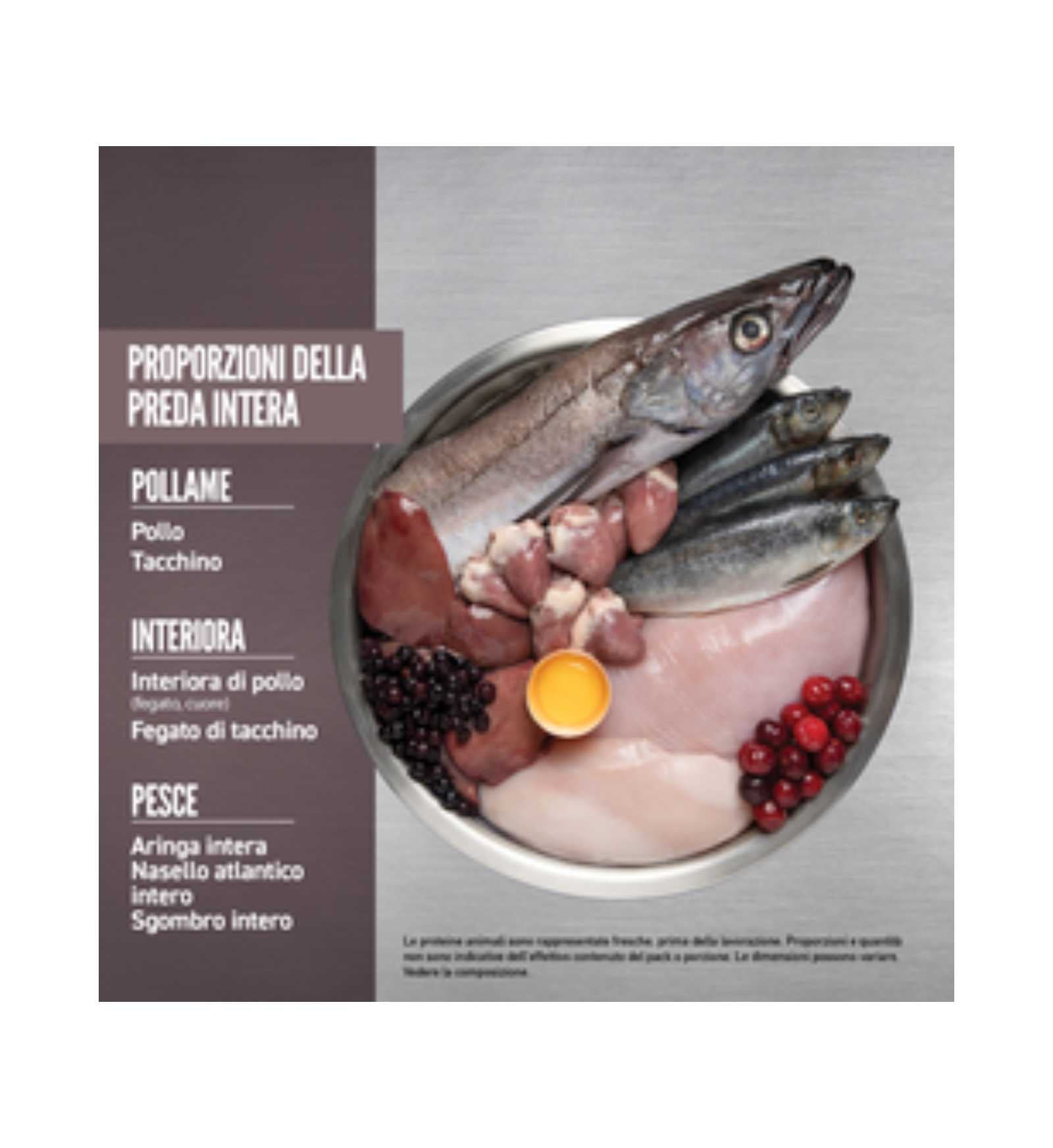 WONDERDRDFIT1140_4__Server-Mago_Mago4_Custom_Companies_ZOOEXPERT_SRL_Applications_ERP_Items_Files_Images_AllUsers_DRDFIT1140_26.jpg WONDERDRDFIT1140 picture