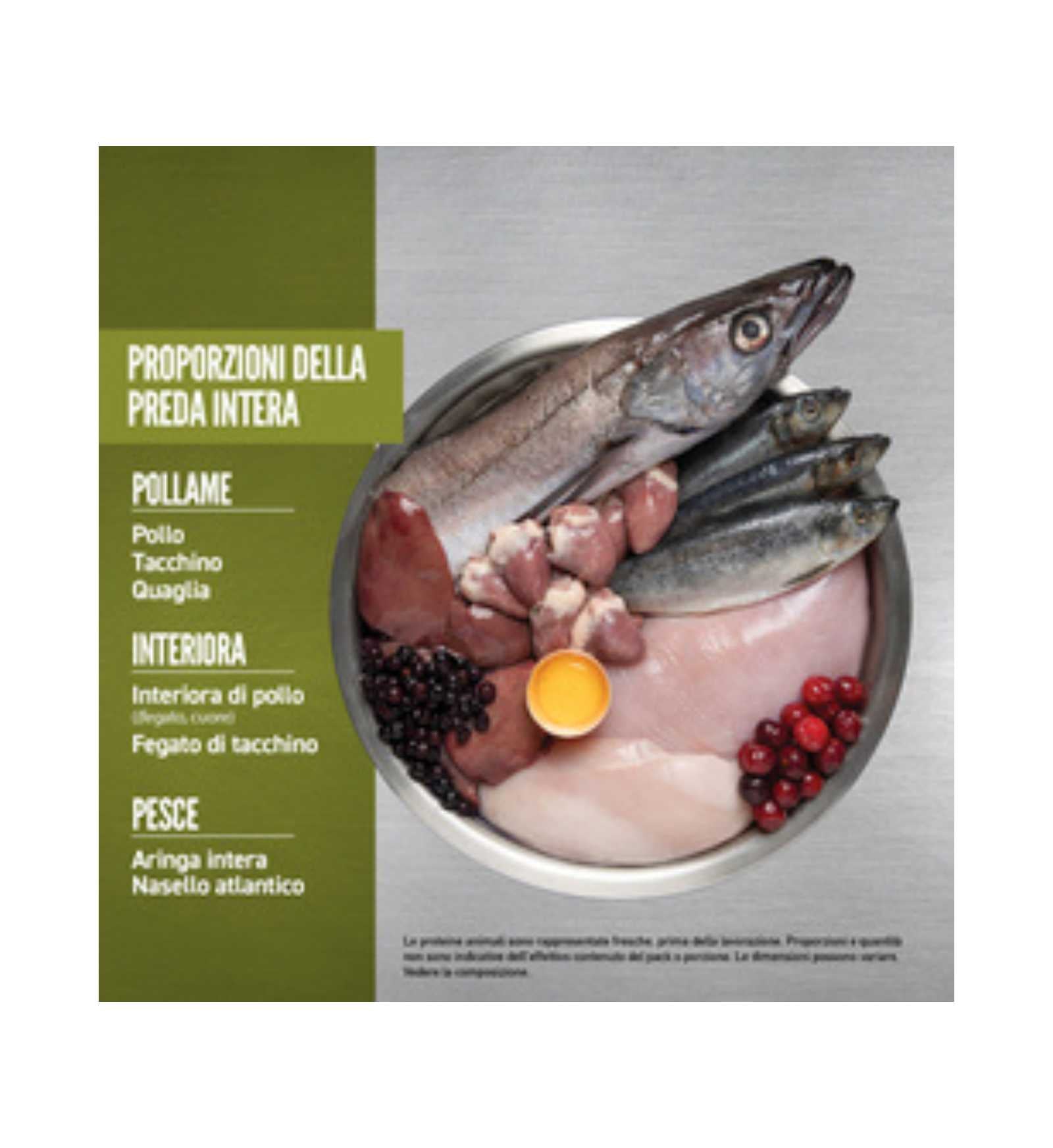 WONDERDRDSEN0600_4__Server-Mago_Mago4_Custom_Companies_ZOOEXPERT_SRL_Applications_ERP_Items_Files_Images_AllUsers_DRDSEN0600_26.jpg WONDERDRDSEN0600 picture