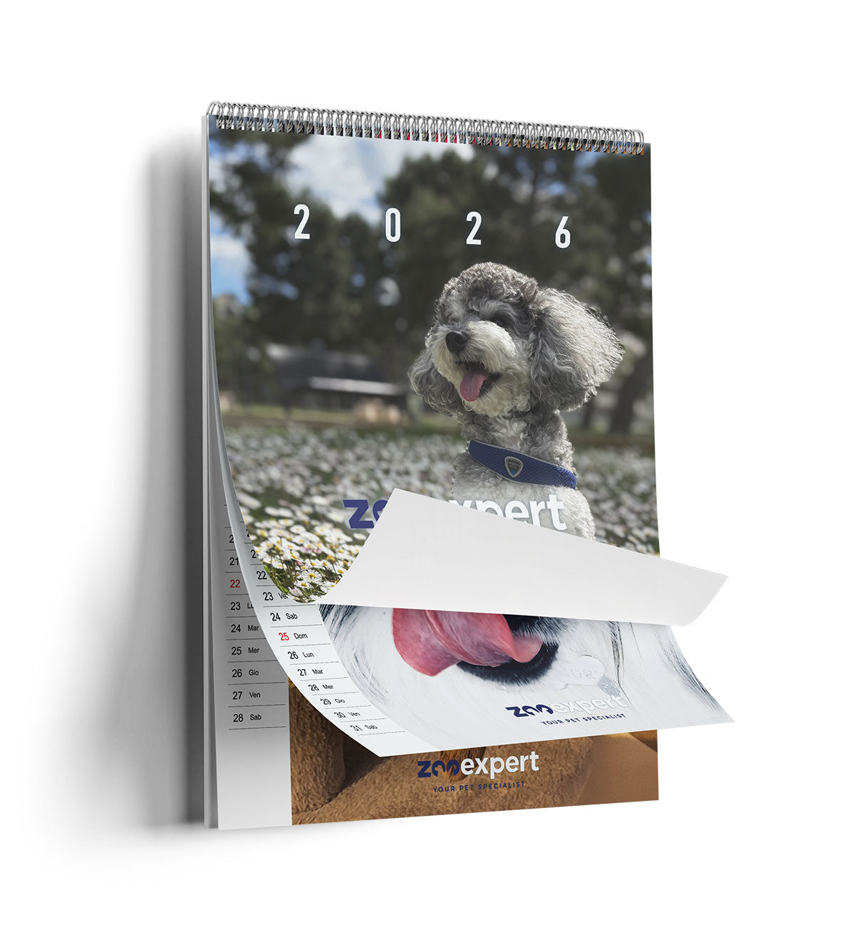 ZOOEXP2025_1__Server-Mago_Mago4_Custom_Companies_ZOOEXPERT_SRL_Applications_ERP_Items_Files_Images_AllUsers_Calendario-1.jpg ZOOEXP2025 picture