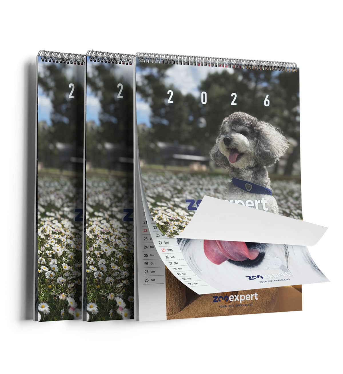 ZOOEXP2025_2__Server-Mago_Mago4_Custom_Companies_ZOOEXPERT_SRL_Applications_ERP_Items_Files_Images_AllUsers_Calendario-3.jpg ZOOEXP2025 picture