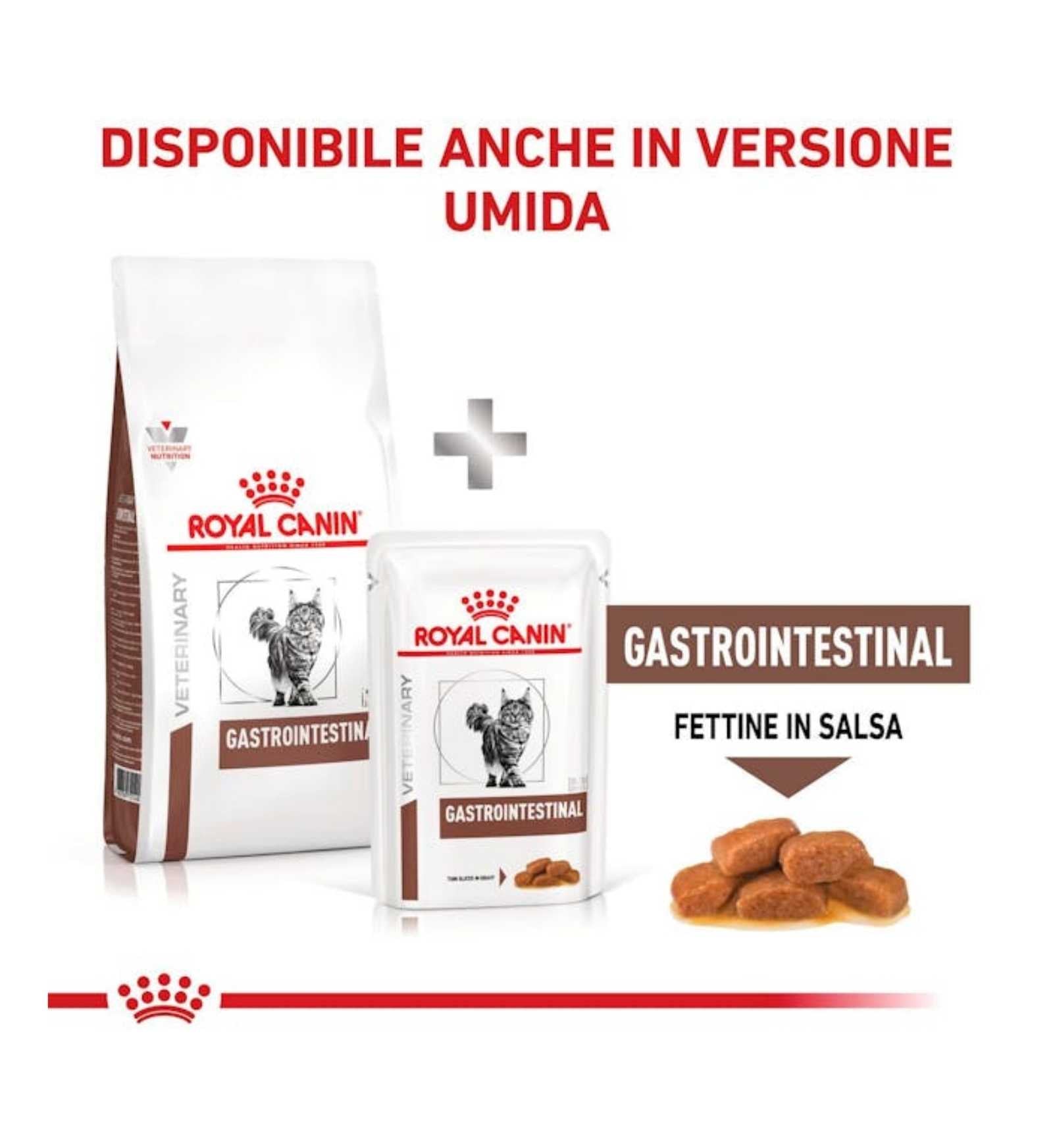 ROYAL CANIN GATTO DIET GASTROINTESTINAL
