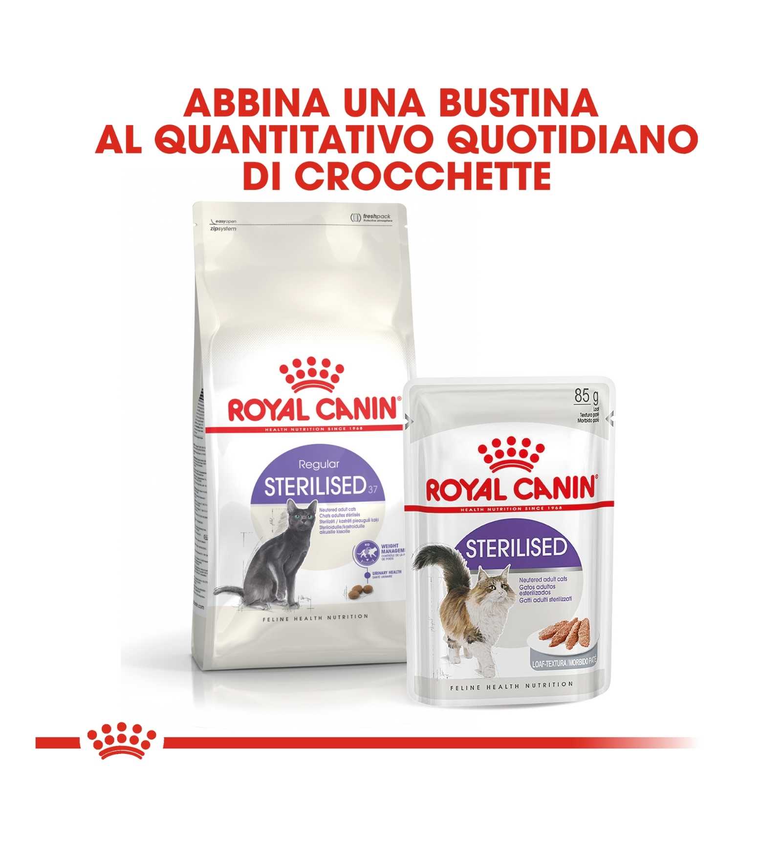 ROYAL CANIN GATTO STERILISED 37
