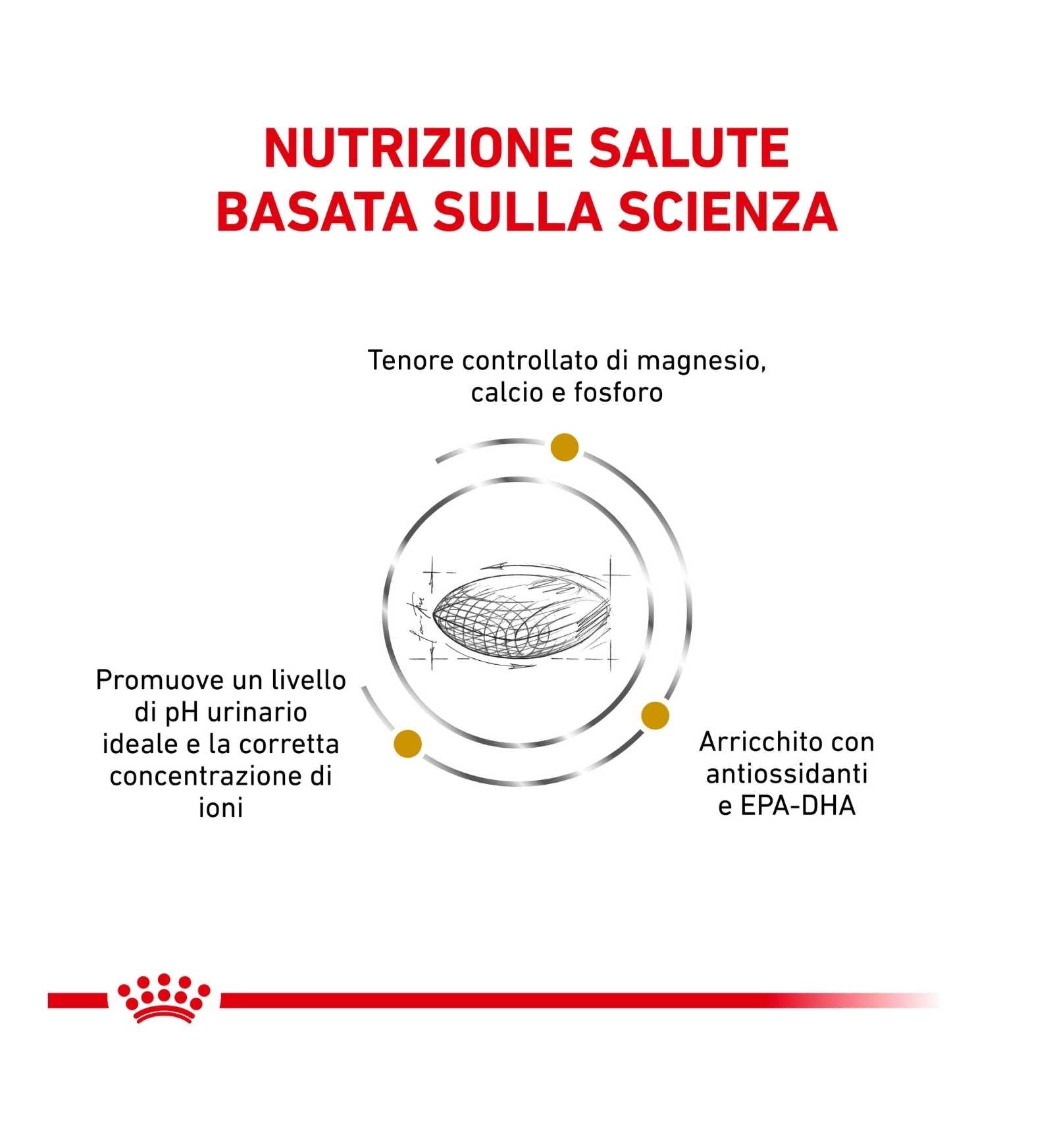 ROYAL CANIN CANE DIET URINARY S/O