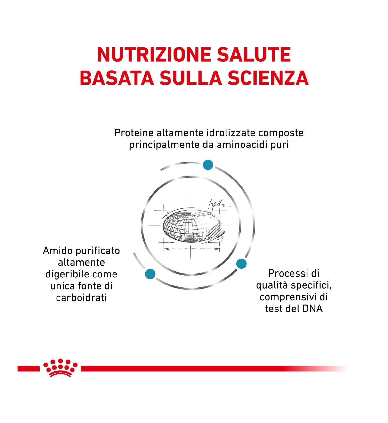 ROYAL CANIN CANE DIET ANALLERGENIC