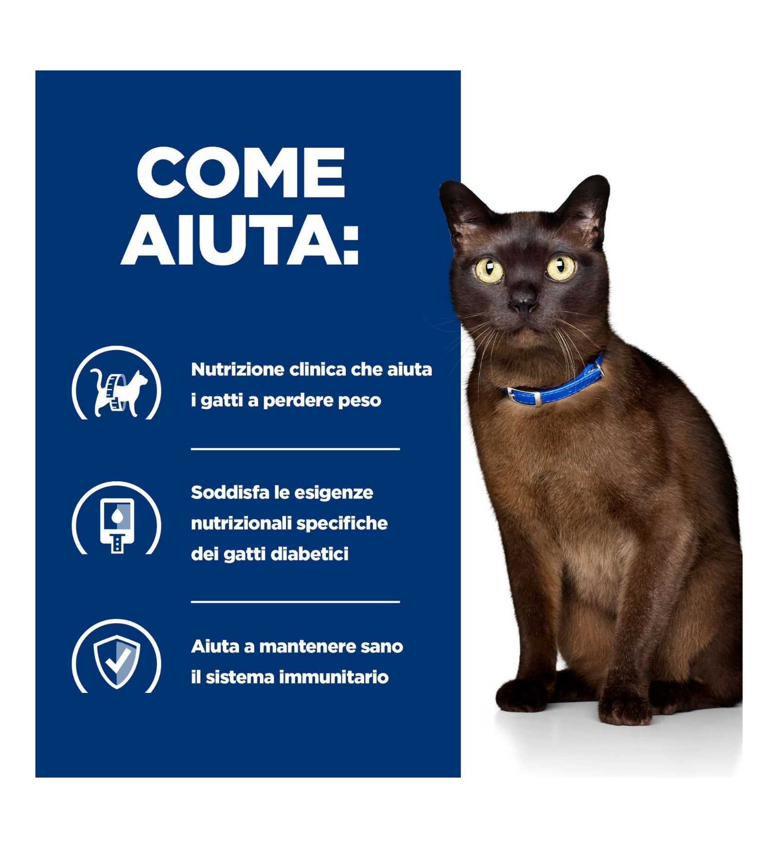 HILL'S PRESCRIPTION DIET GATTO M/D DA 85 GR IN BUSTA