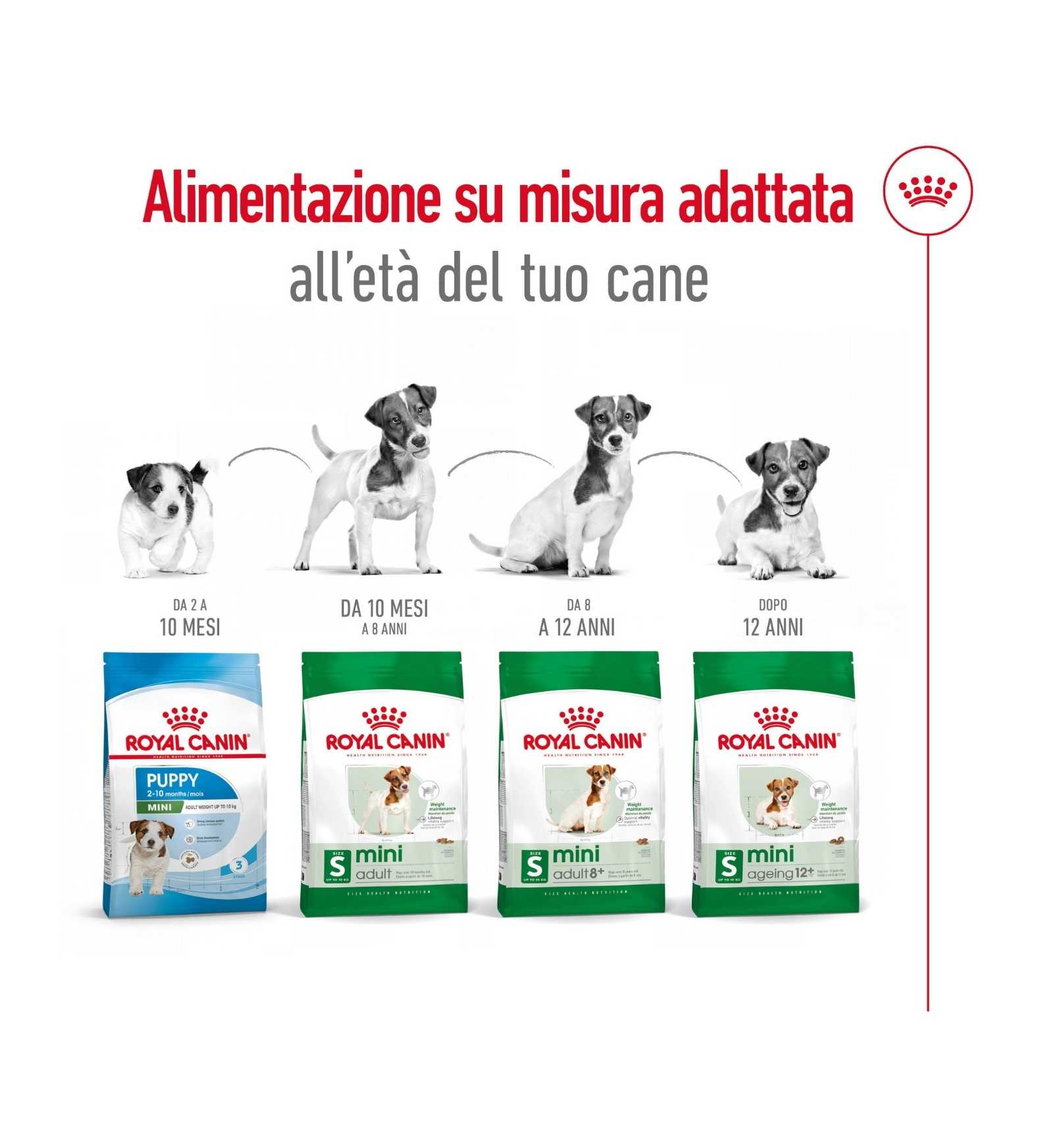 ROYAL CANIN CANE ADULT MINI AGEING 12+