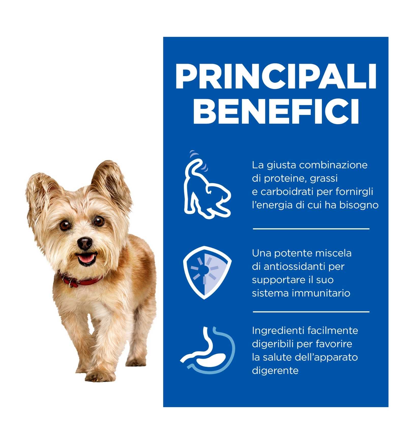 HILL'S SCIENCE PLAN CANE MATURE SMALL & MINI MOUSSE AL MANZO DA 200 GR IN LATTINA