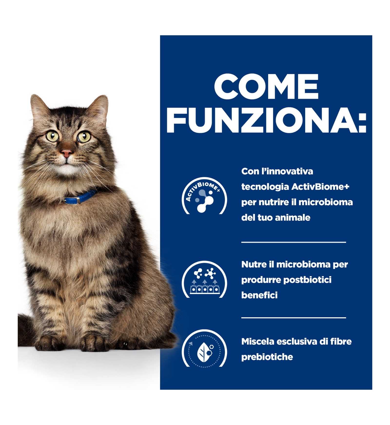 HILL'S PRESCRIPTION DIET GATTO GASTROINTESTINAL BIOME DIGESTIVE / FIBRE CARE AL POLLO