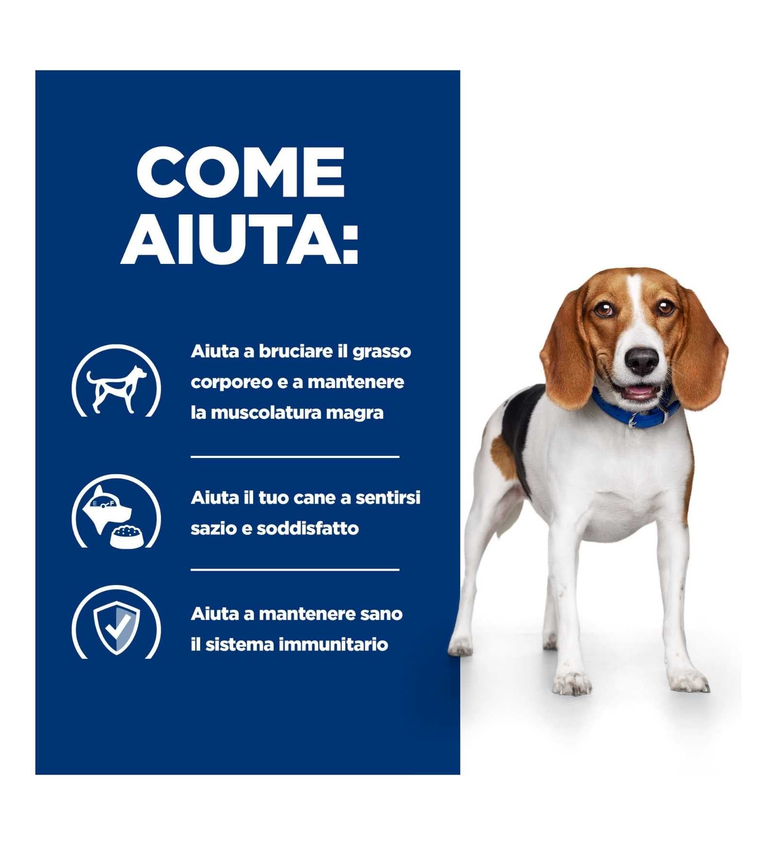HILL'S PRESCRIPTION DIET CANE R/D DA 350 GR IN LATTINA