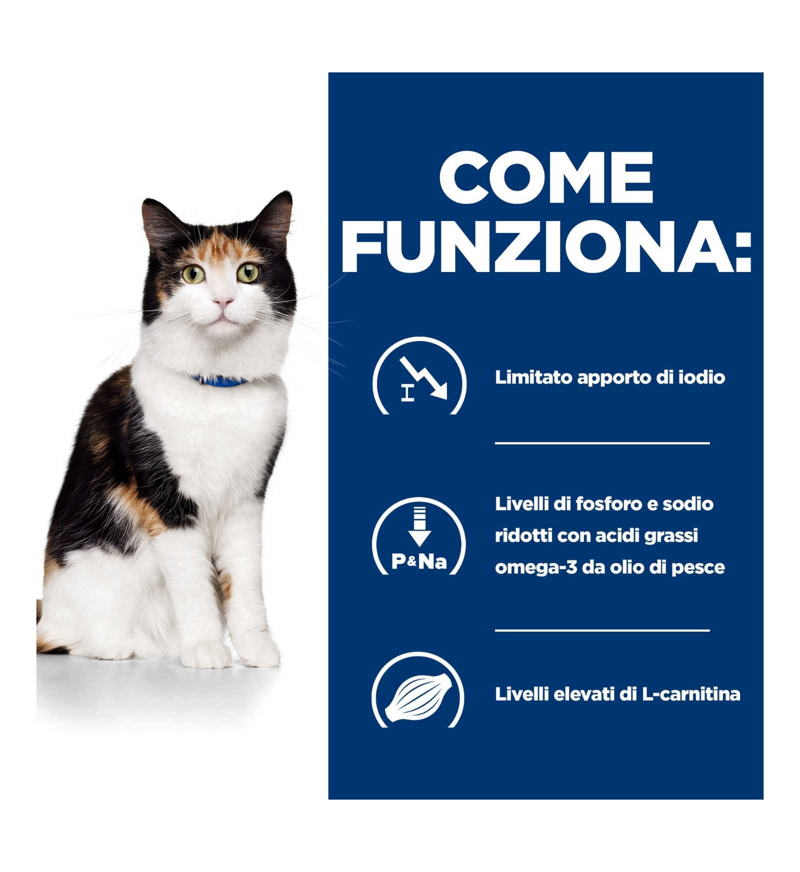 HILL'S PRESCRIPTION DIET GATTO Y/D DA 156 GR IN LATTINA