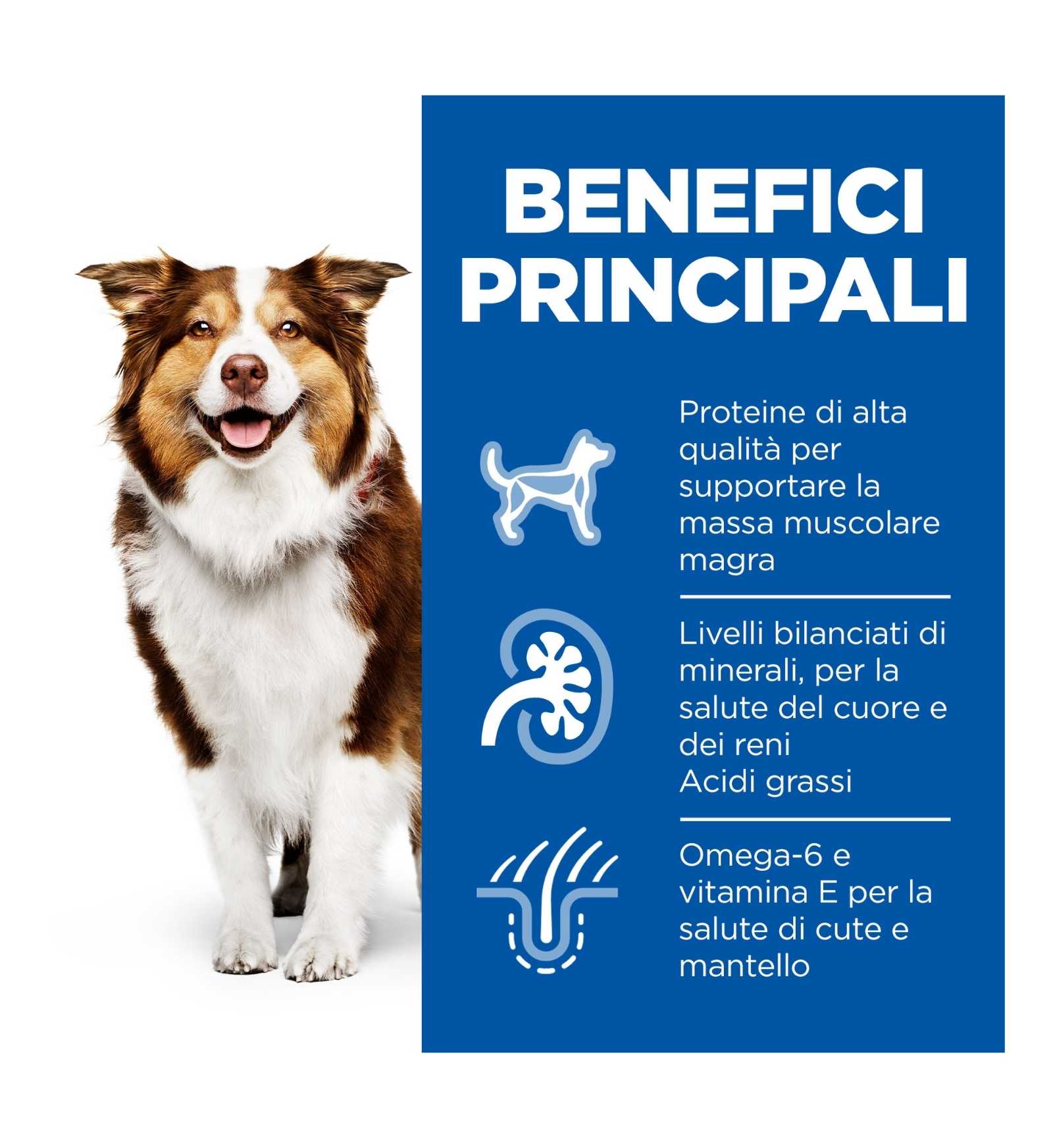 HILL'S SCIENCE PLAN CANE MATURE MEDIUM AL POLLO