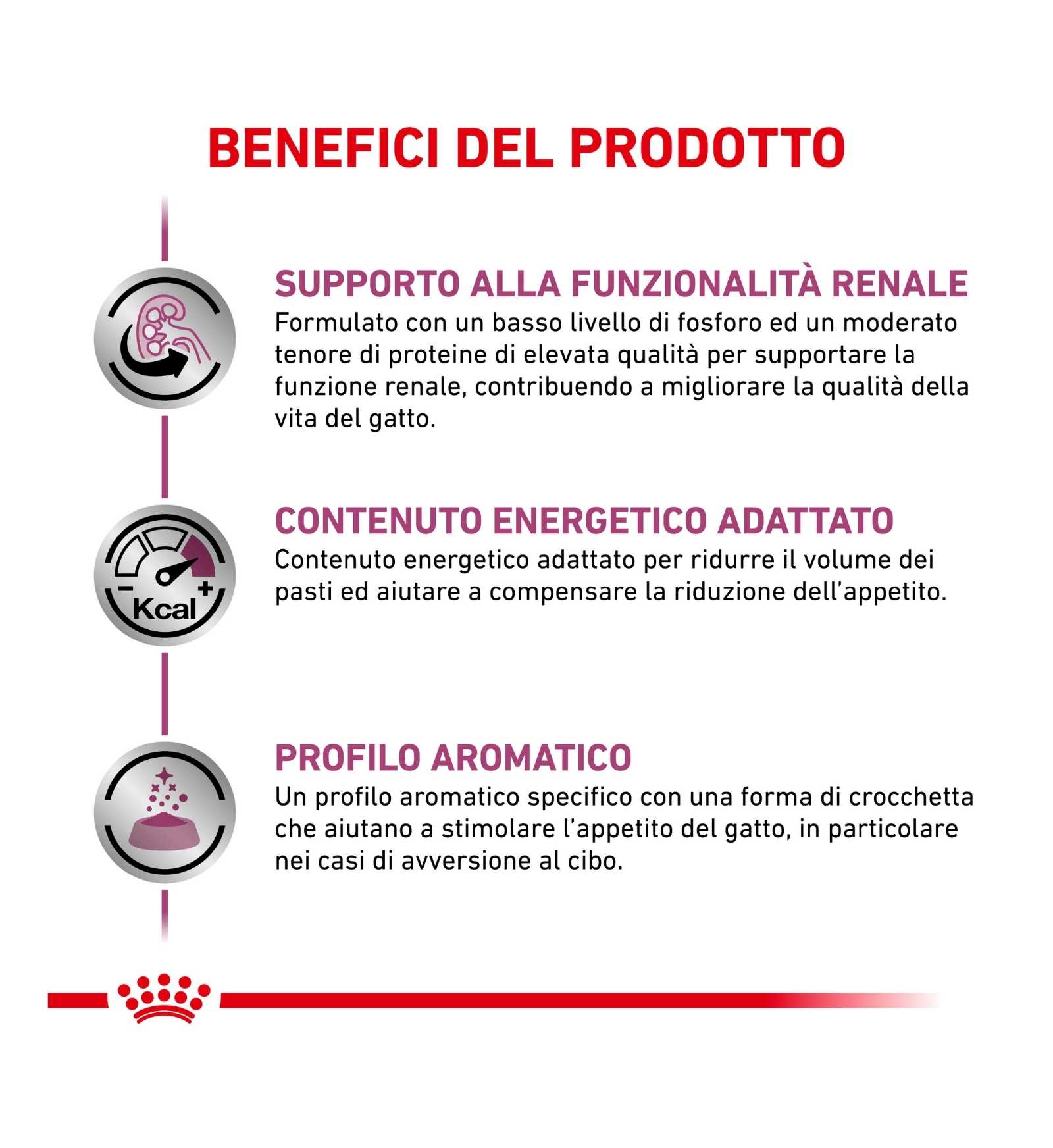 ROYAL CANIN GATTO DIET RENAL