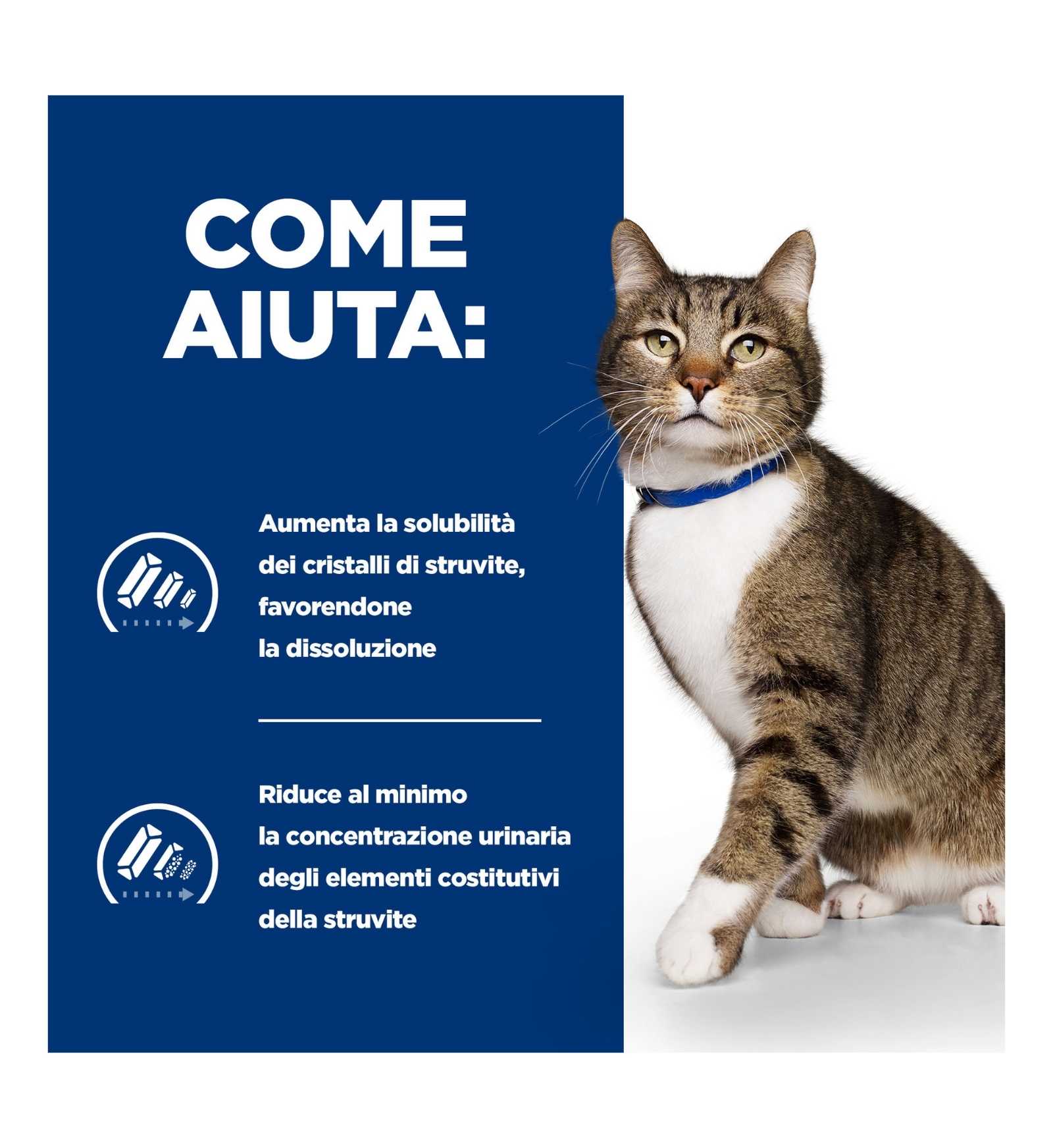 HILL'S PRESCRIPTION DIET GATTO S/D DA 85 GR IN BUSTA