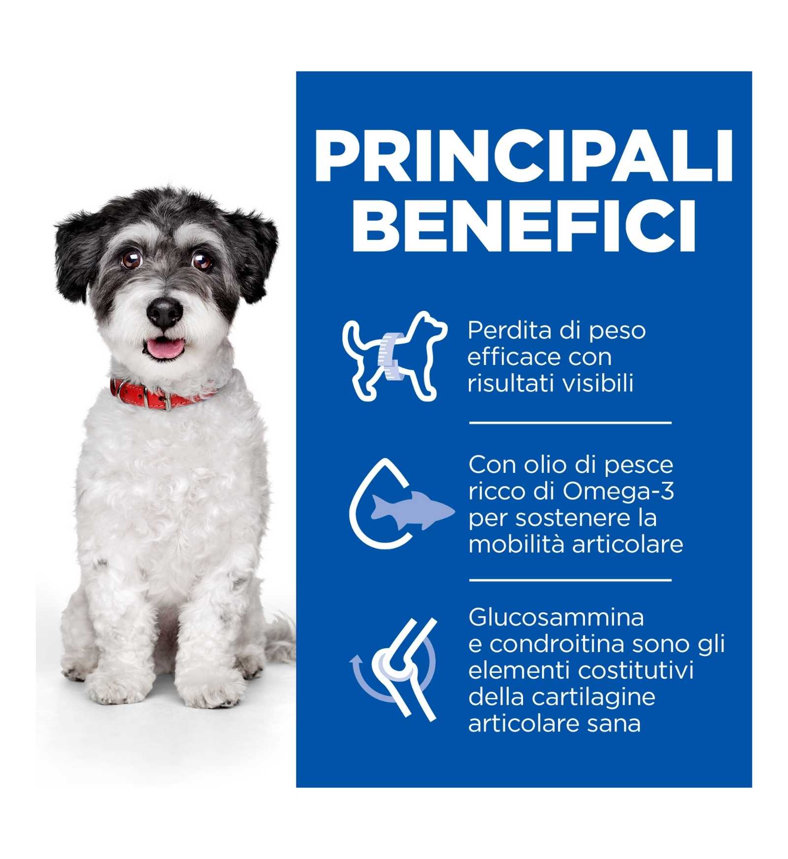 HILL'S SCIENCE PLAN CANE ADULT SMALL & MINI PERFECT WEIGHT MOBILITY DA 1,5 KG