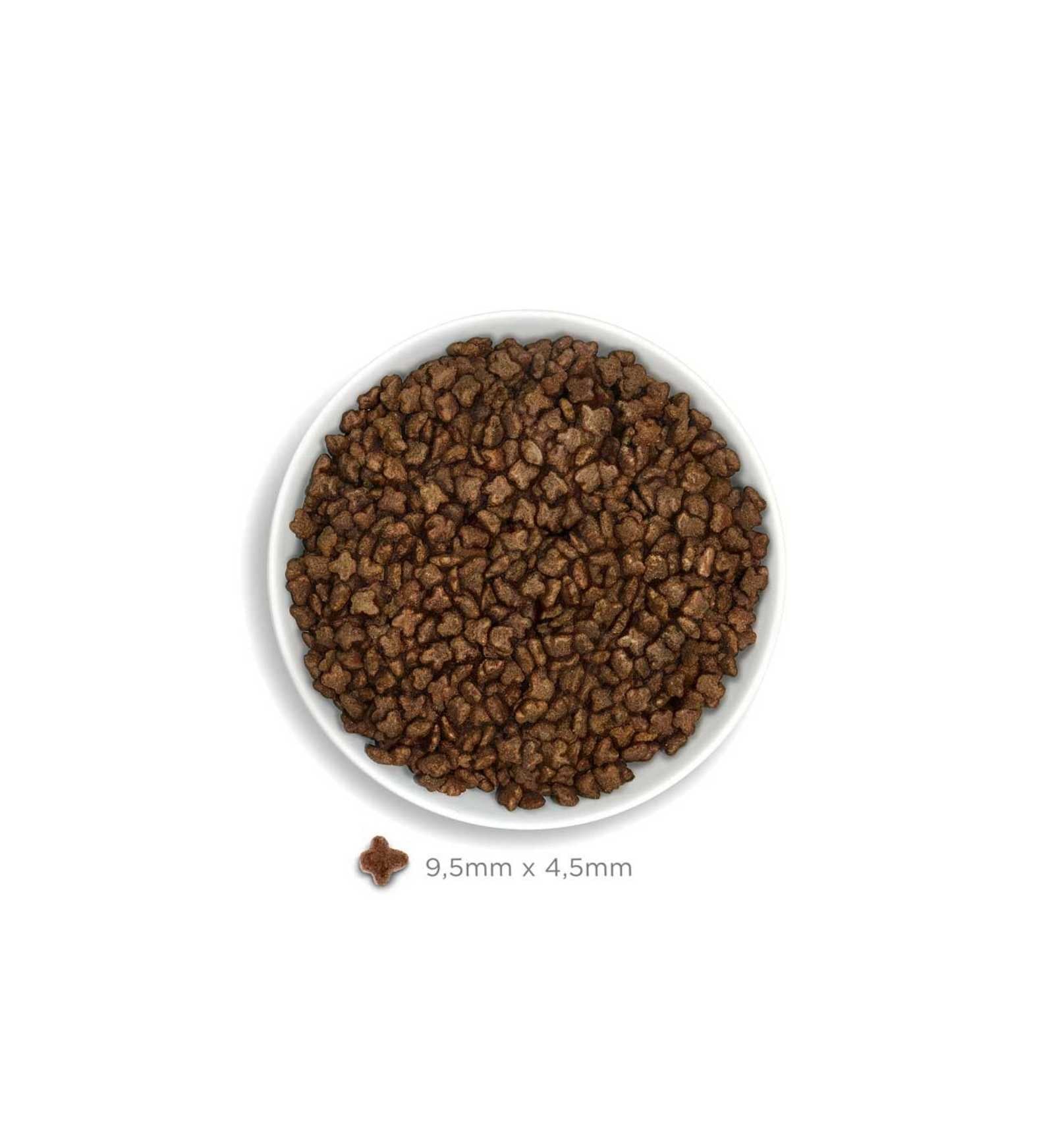 AMANOVA GATTO KITTEN EXQUISITE AL POLLO