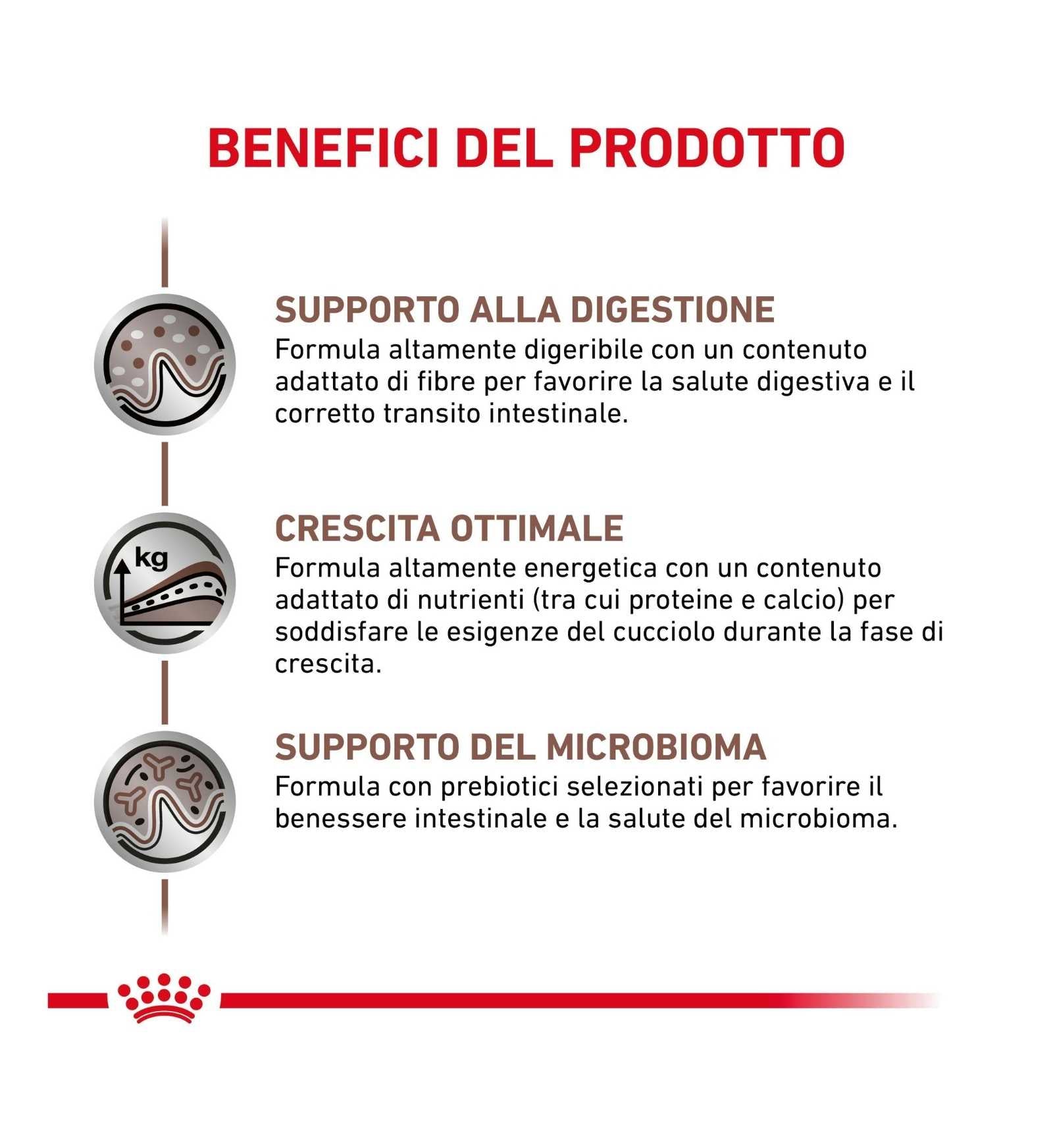ROYAL CANIN CANE DIET GASTROINTESTINAL JUNIOR