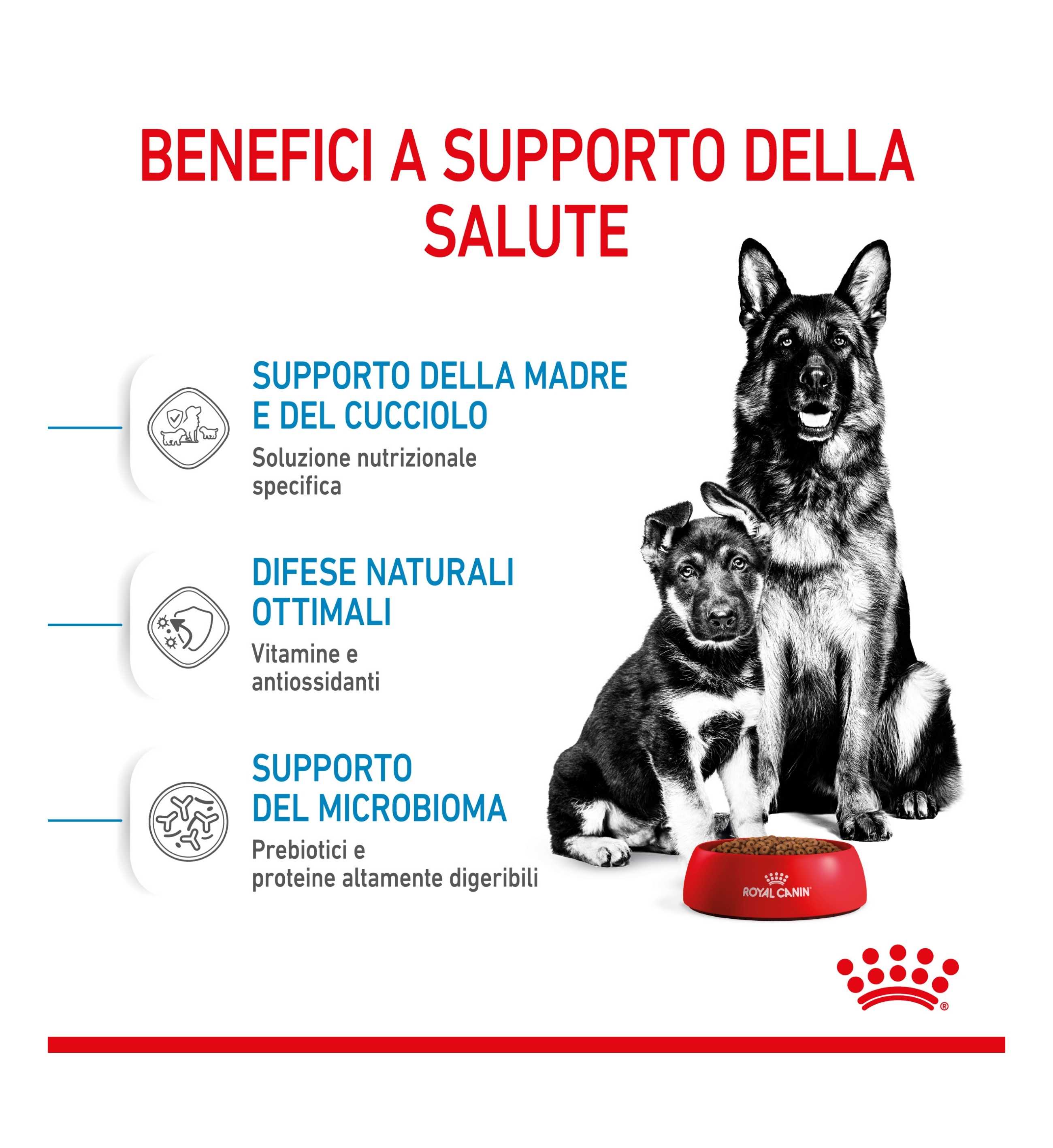 ROYAL CANIN CANE STARTER MAXI MOTHER & BABY
