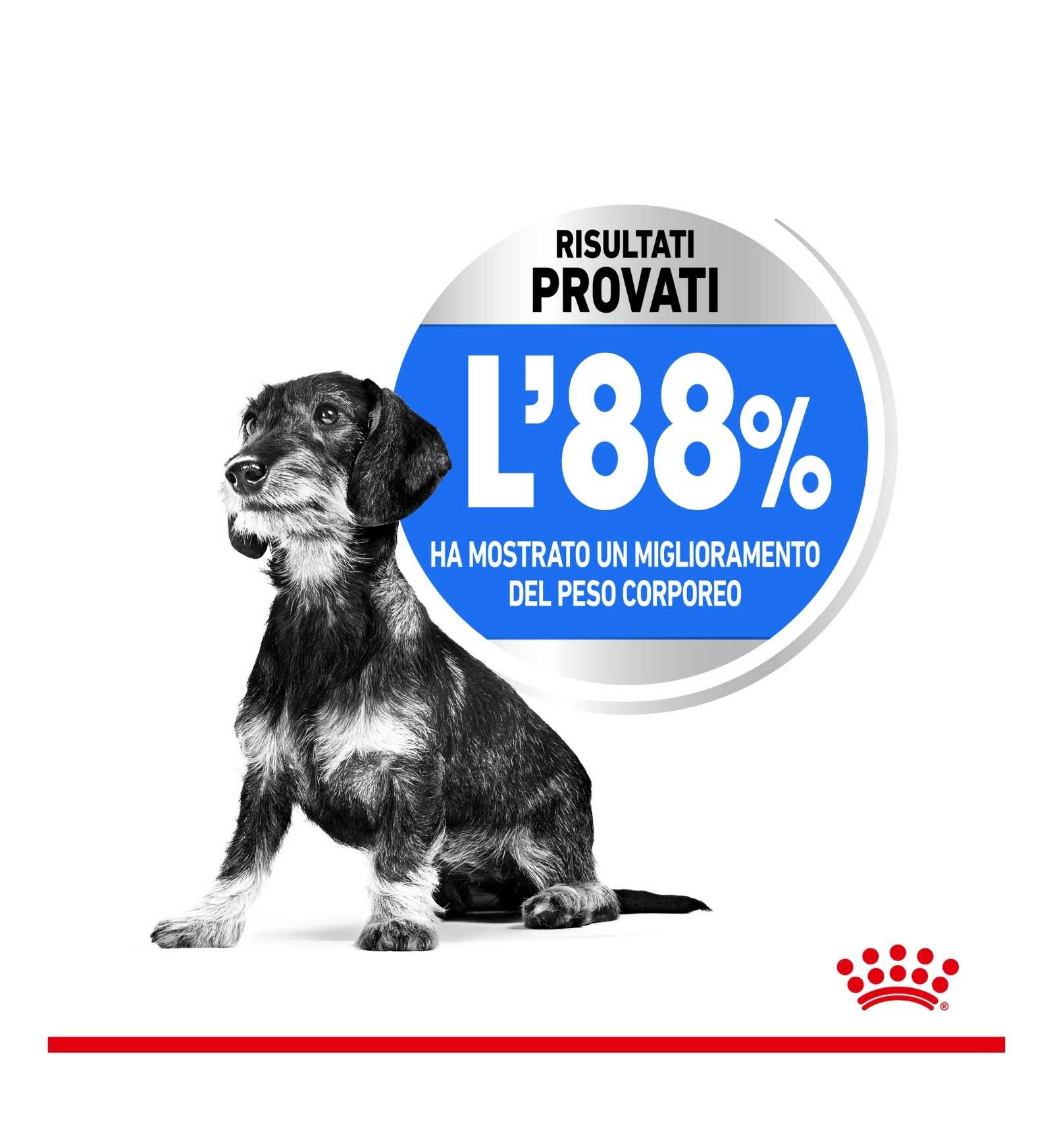 ROYAL CANIN CANE MINI LIGHT WEIGHT CARE