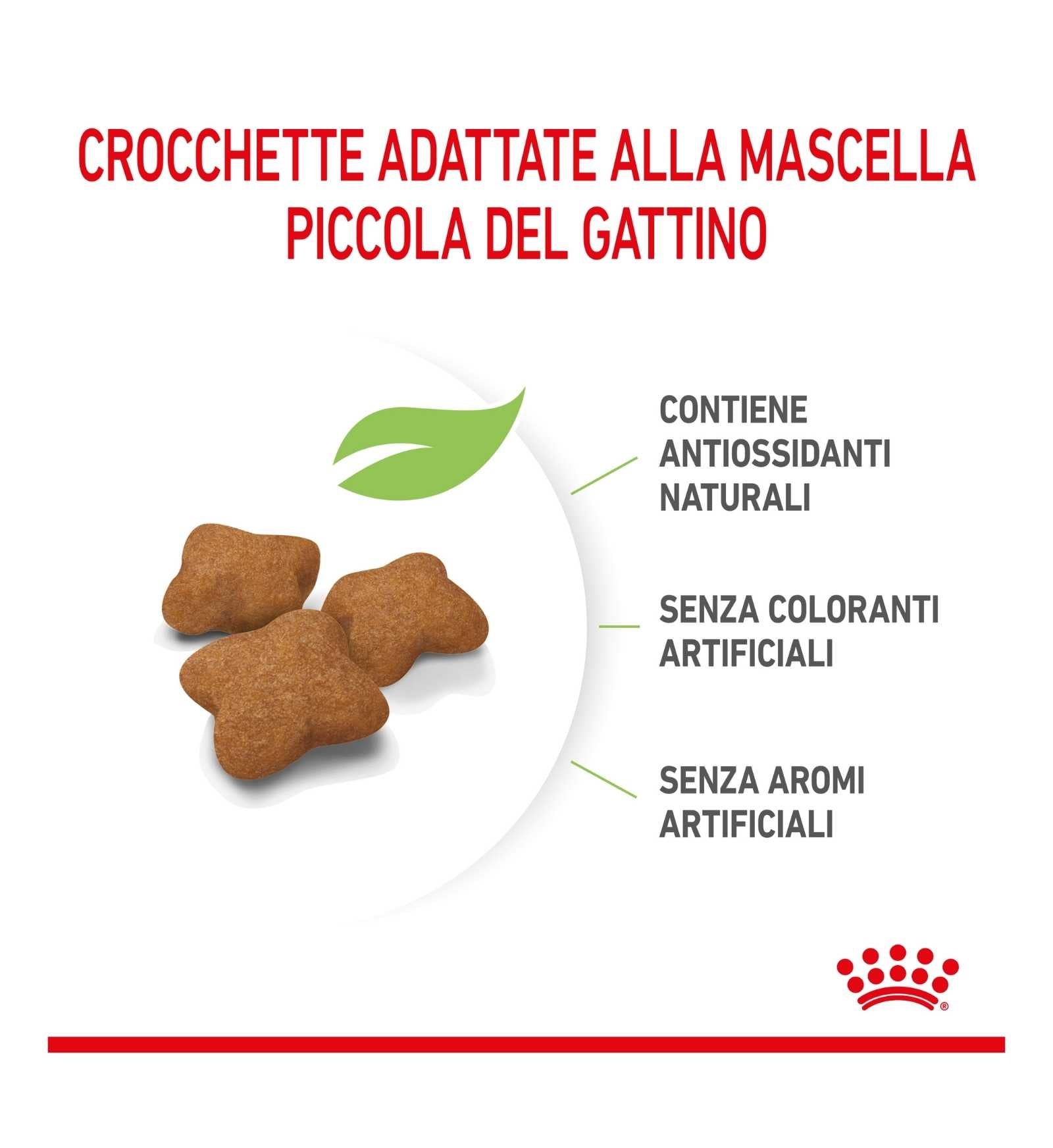 ROYAL CANIN GATTO KITTEN STERILISED
