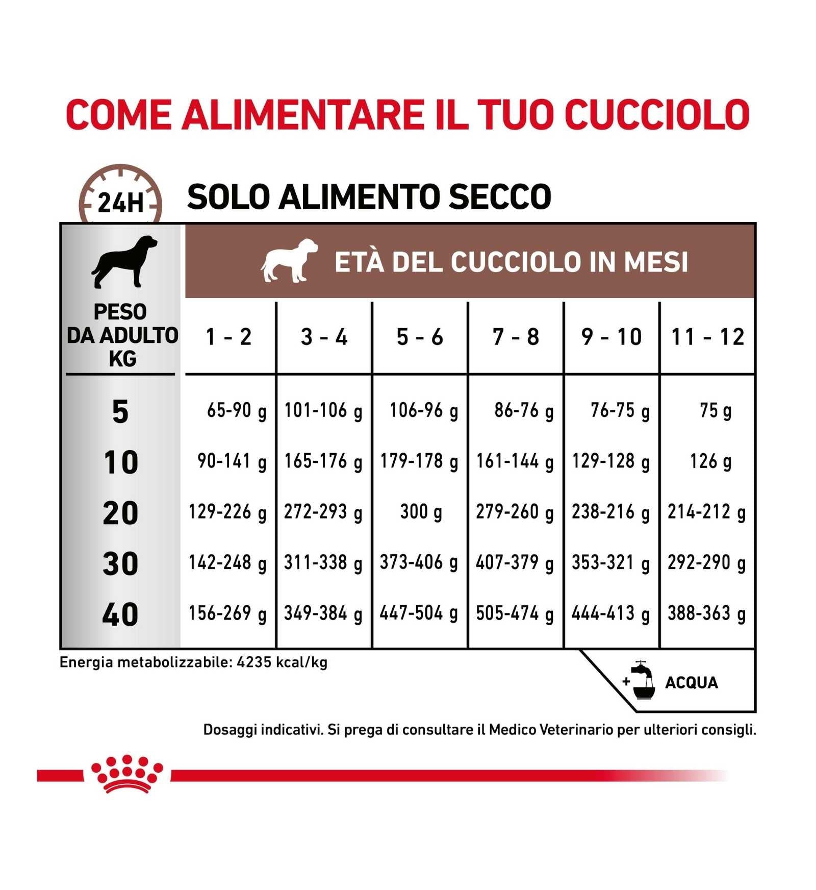 ROYAL CANIN CANE DIET GASTROINTESTINAL JUNIOR