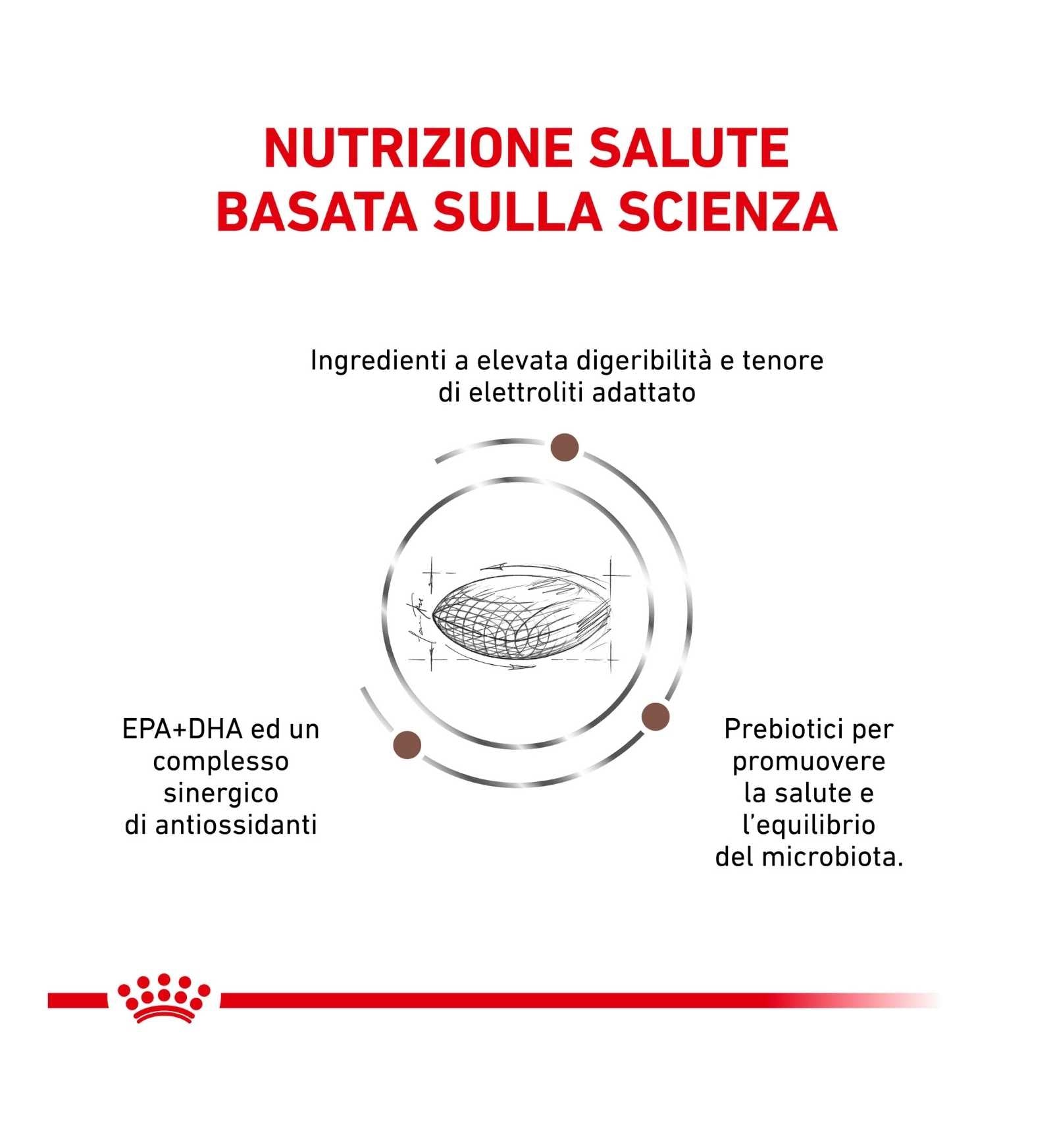 ROYAL CANIN CANE DIET GASTROINTESTINAL LOW FAT