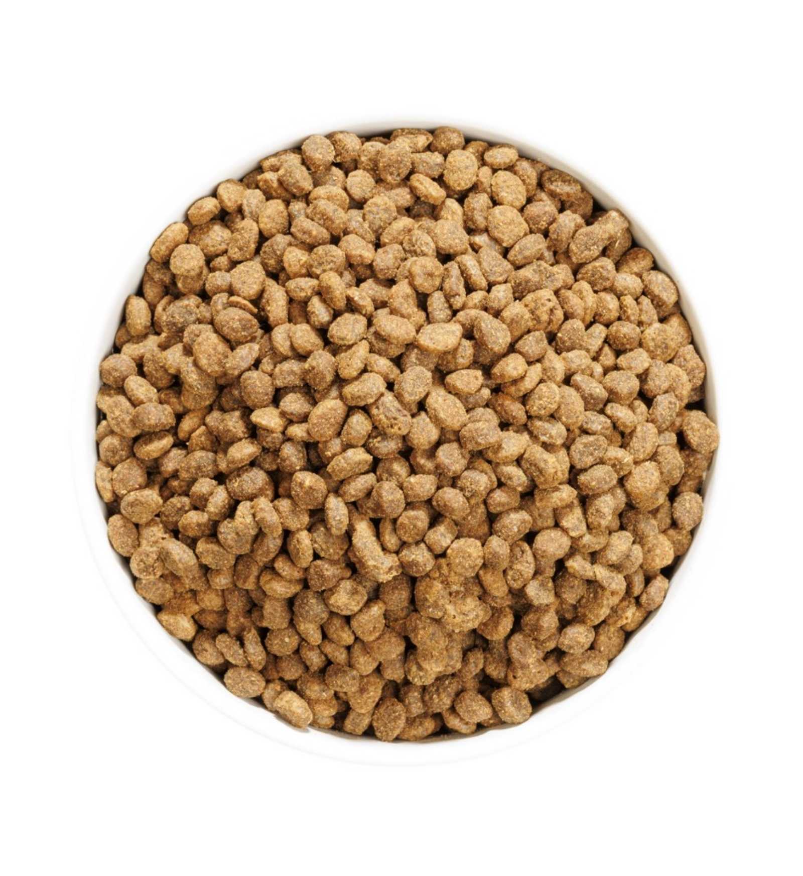 OWNAT GATTO AUTHOR PESCE E POLLAME FRESCO DA 1,5 KG