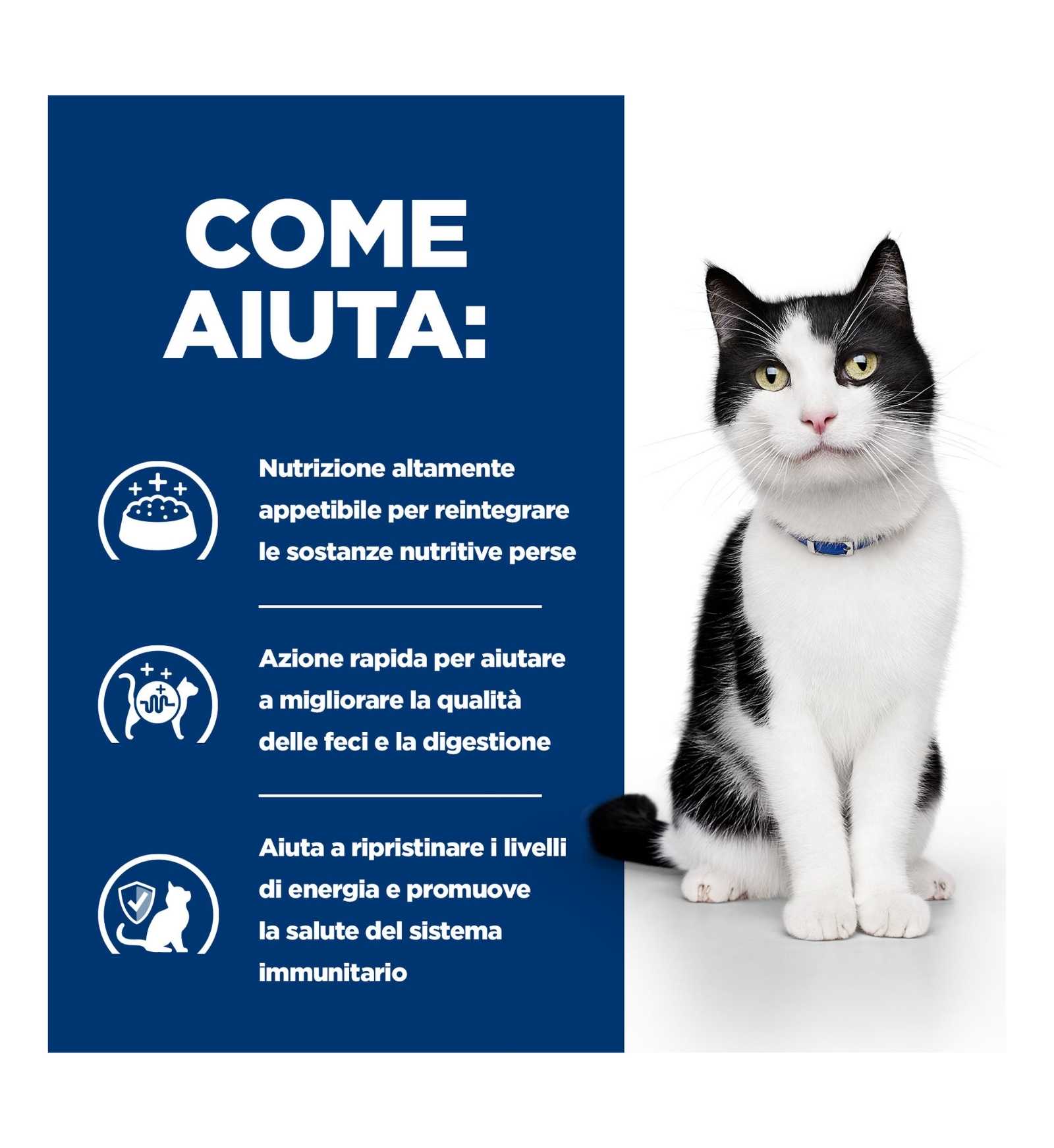 HILL'S PRESCRIPTION DIET GATTO I/D