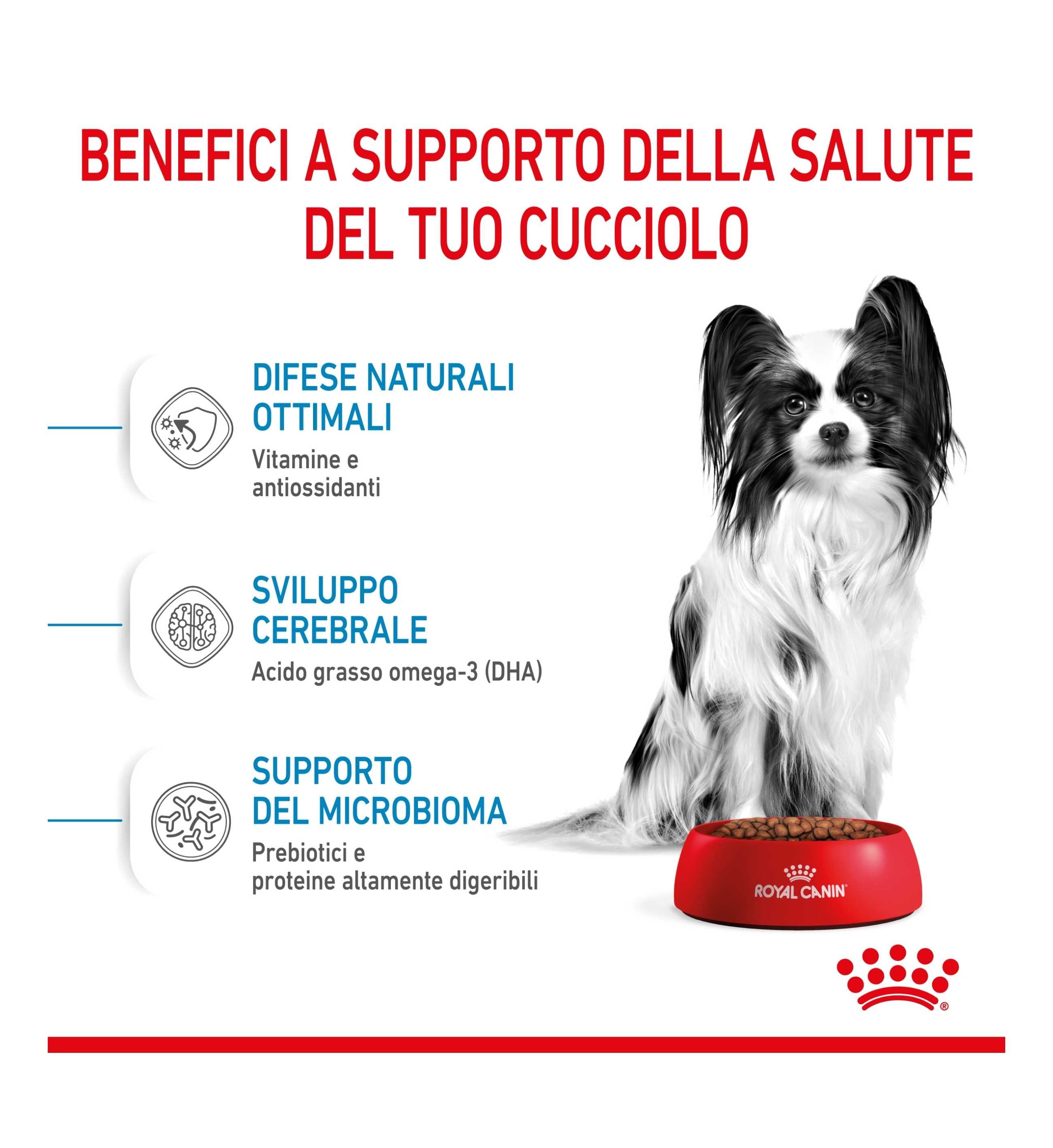 ROYAL CANIN CANE PUPPY X-SMALL