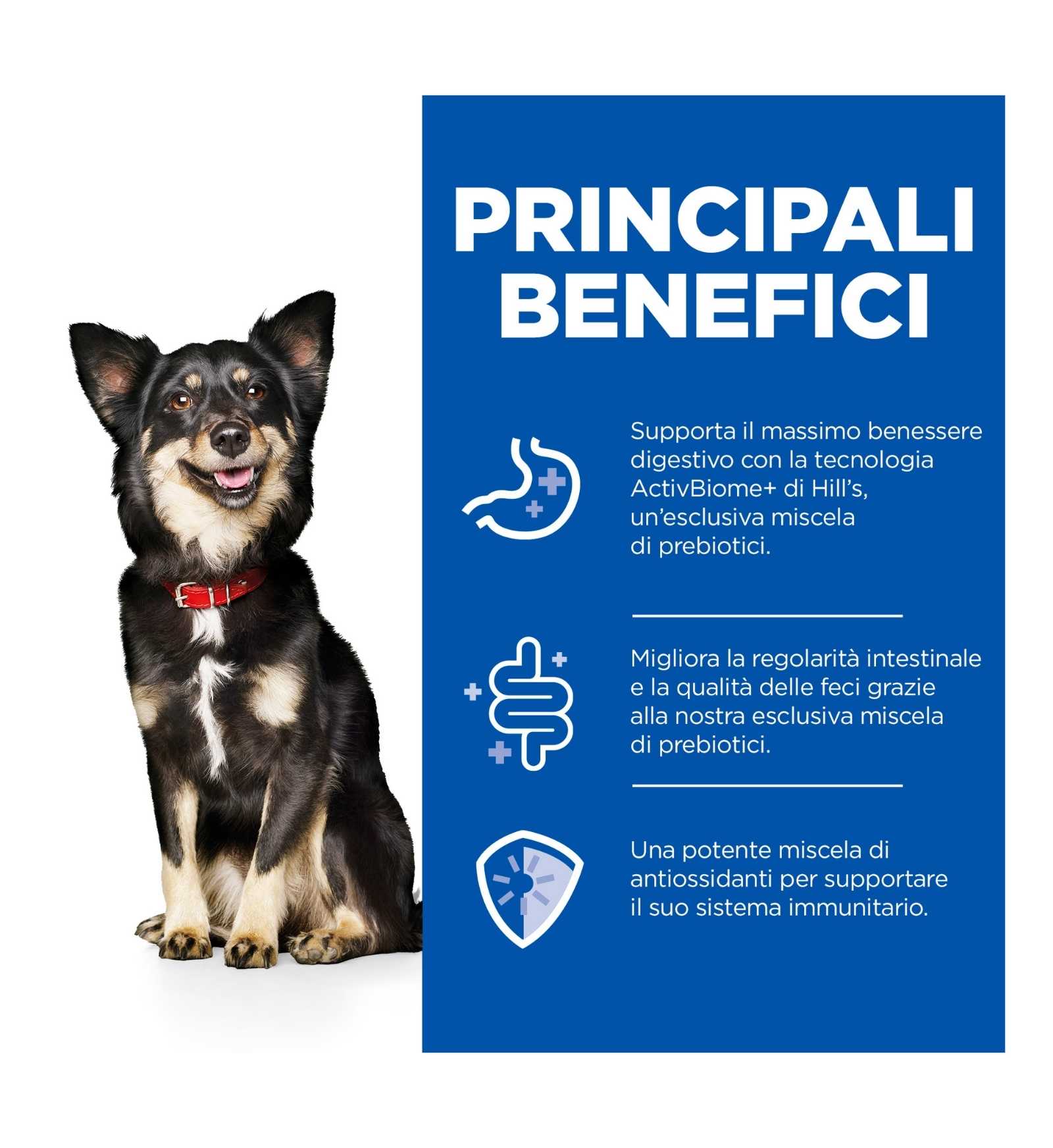 HILL'S SCIENCE PLAN CANE ADULT SMALL & MINI PERFECT DIGESTION MOUSSE AL TACCHINO DA 200 GR IN LATTINA