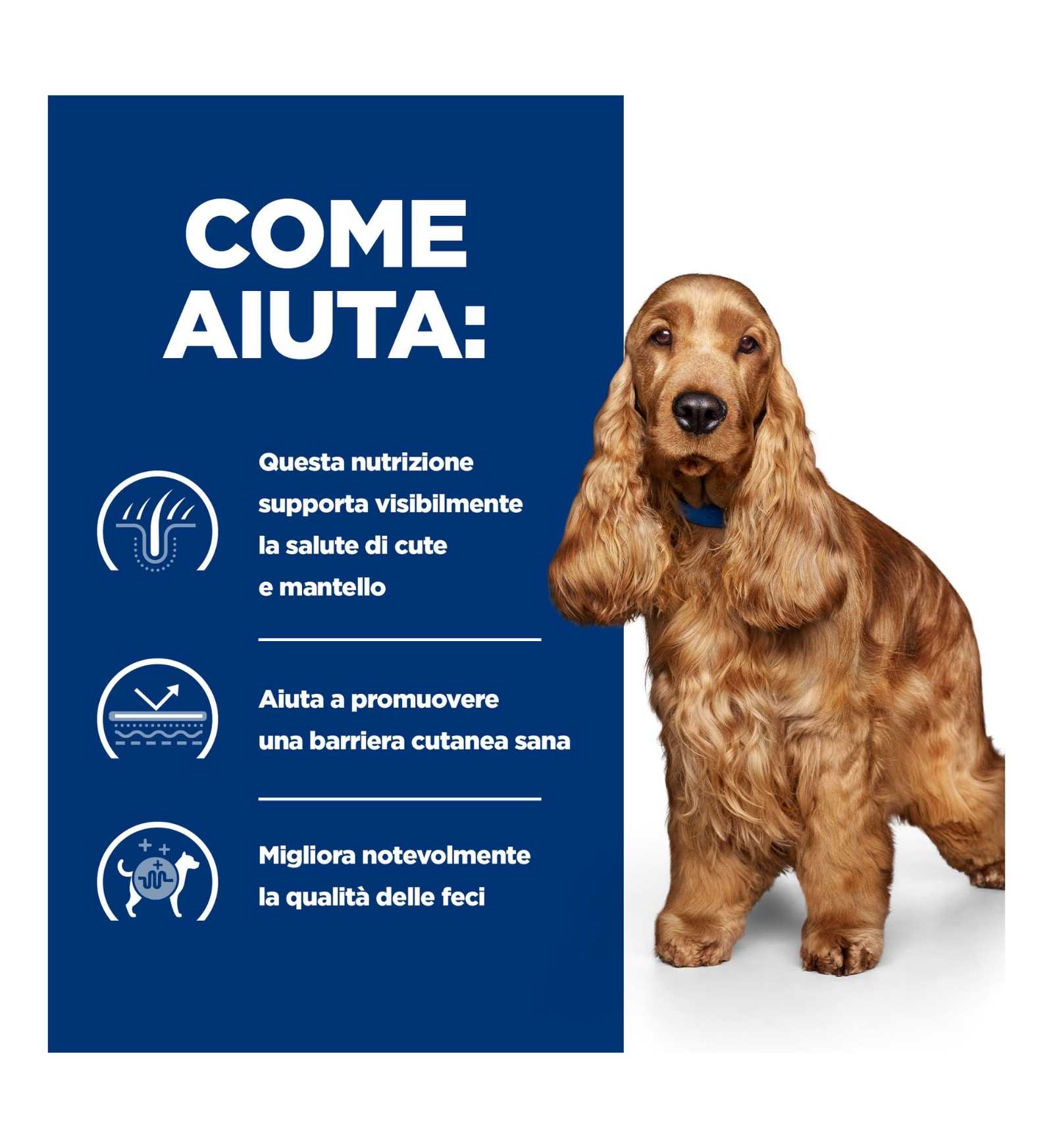 HILL'S PRESCRIPTION DIET CANE Z/D DA 370 GR IN LATTINA