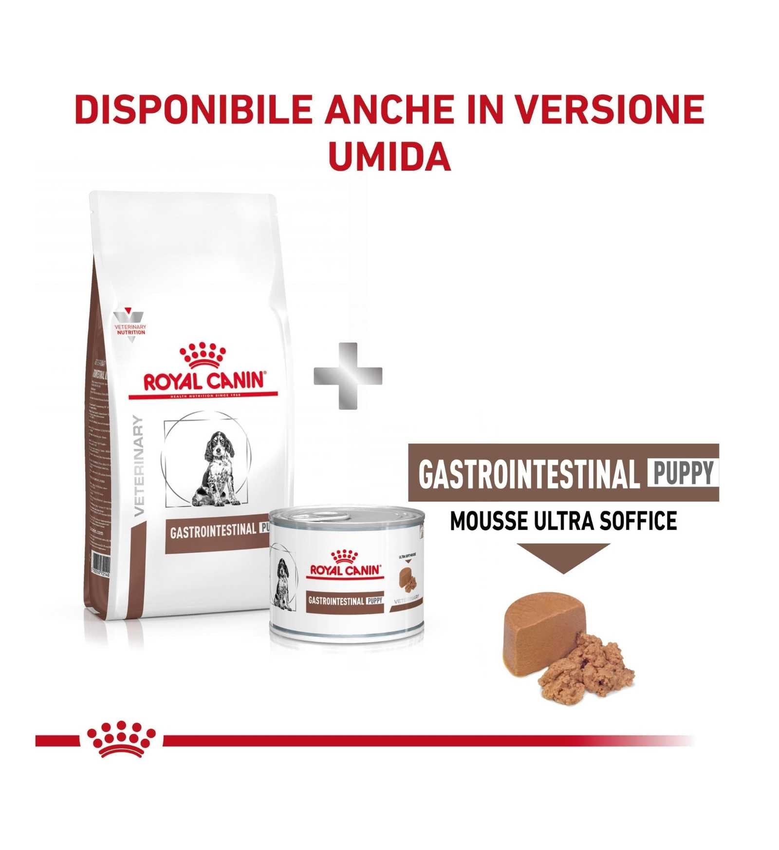 ROYAL CANIN CANE DIET GASTROINTESTINAL JUNIOR