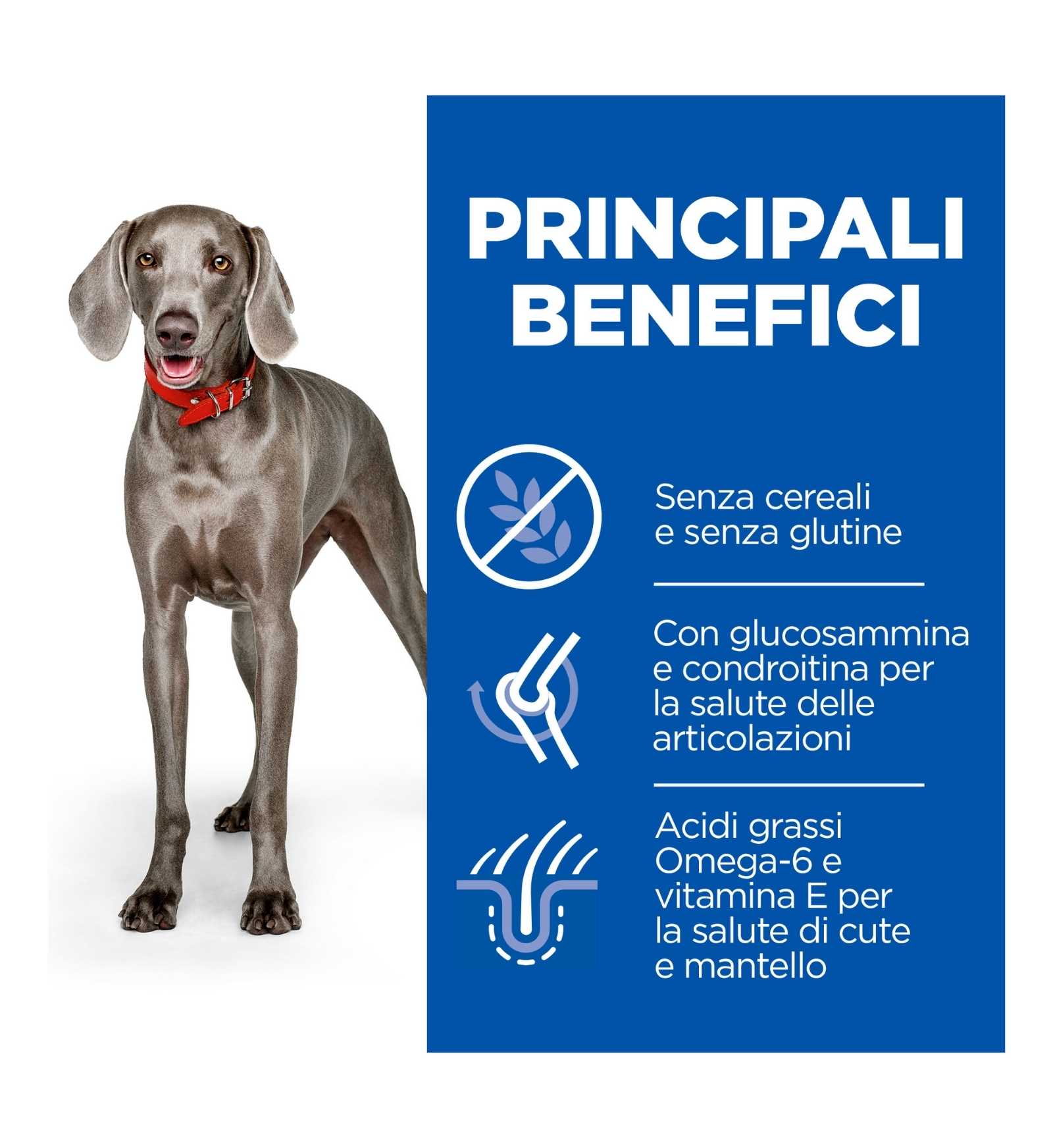 HILL'S SCIENCE PLAN CANE ADULT LARGE BREED NO GRAIN AL POLLO DA 12 KG